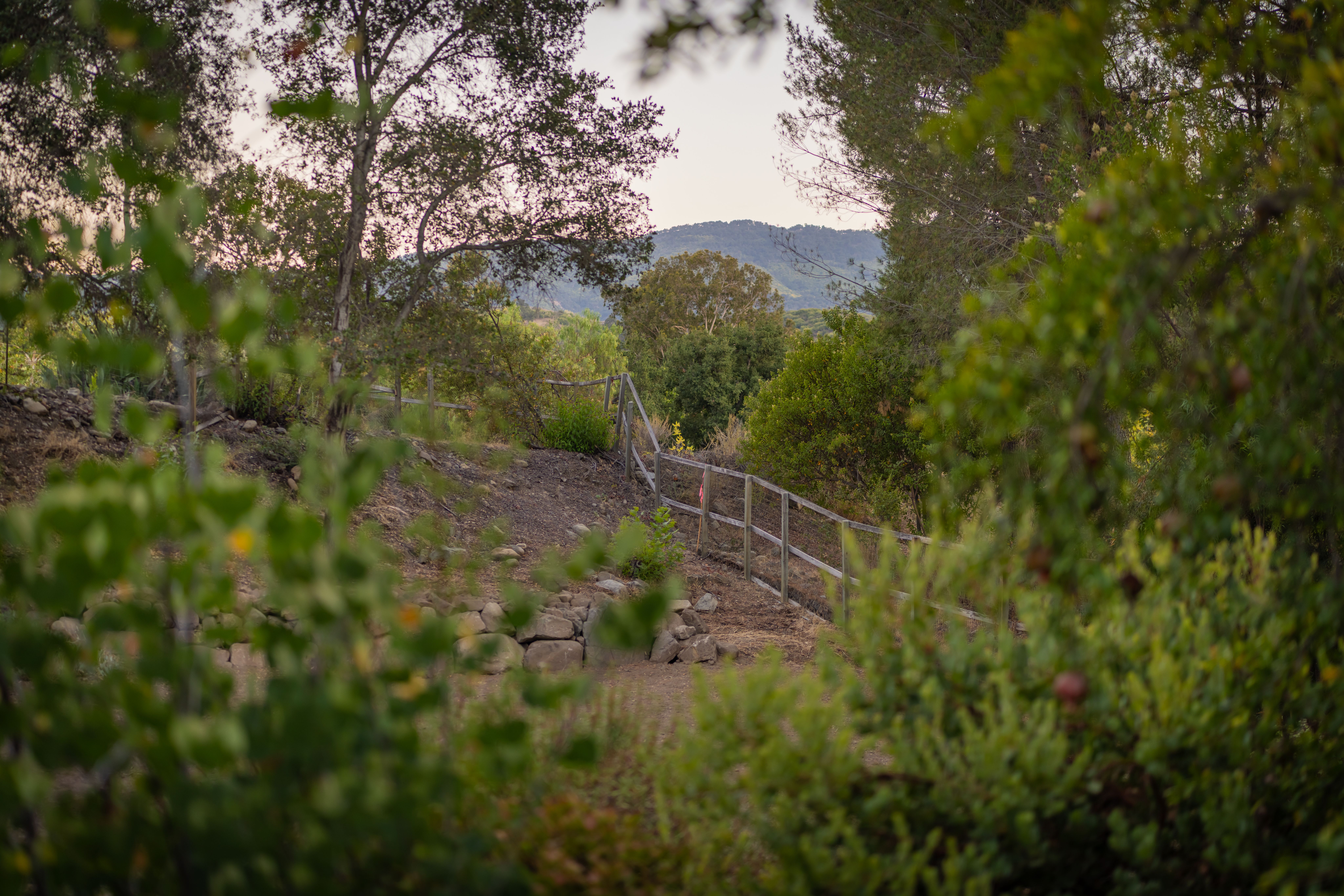  4210 Grand Avenue, Ojai, CA 93023 - 物件實景