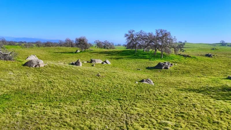 Madera, California, 93636, United States, ,Residential,For Sale,2014215