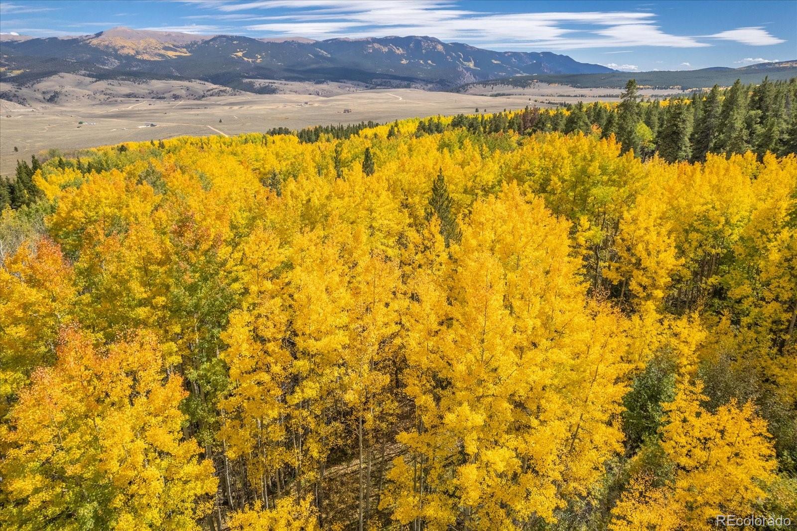 Twin Lakes, Colorado, 81251, United States, ,Land,For Sale,1975284