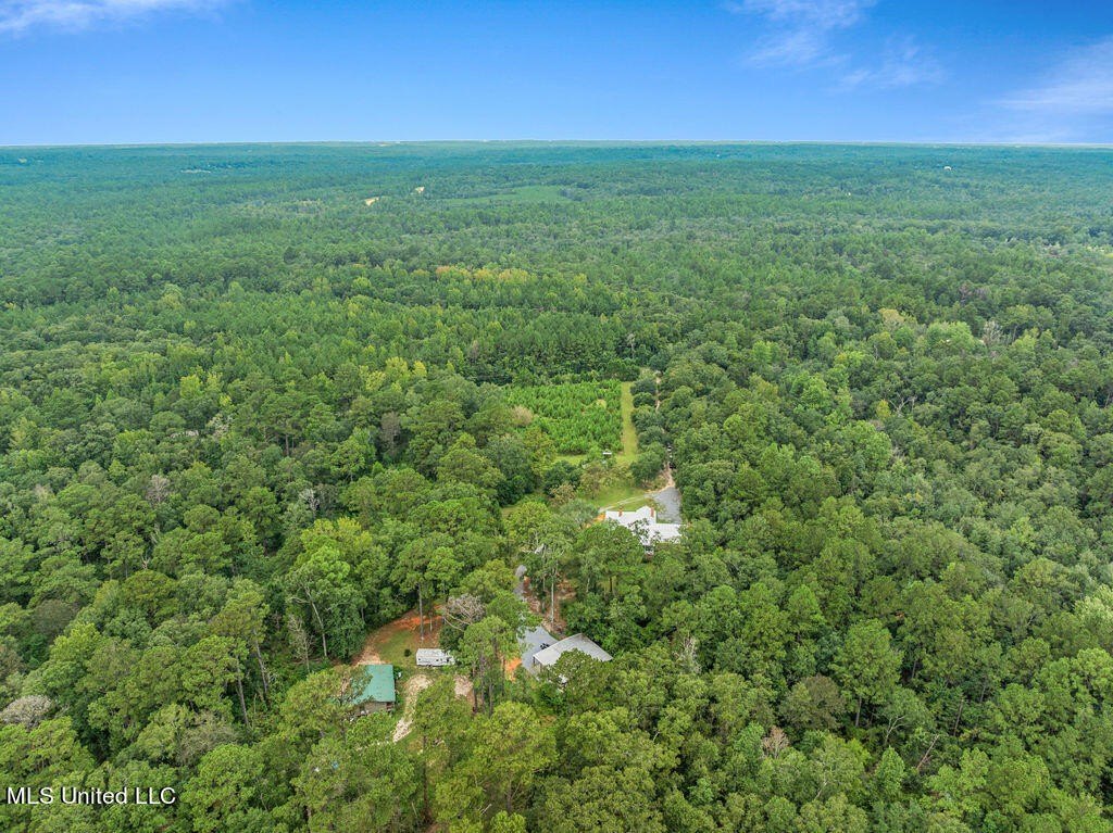 Lucedale, Mississippi, 39452, United States, 3 Bedrooms Bedrooms, ,3 BathroomsBathrooms,Residential,For Sale,1975662