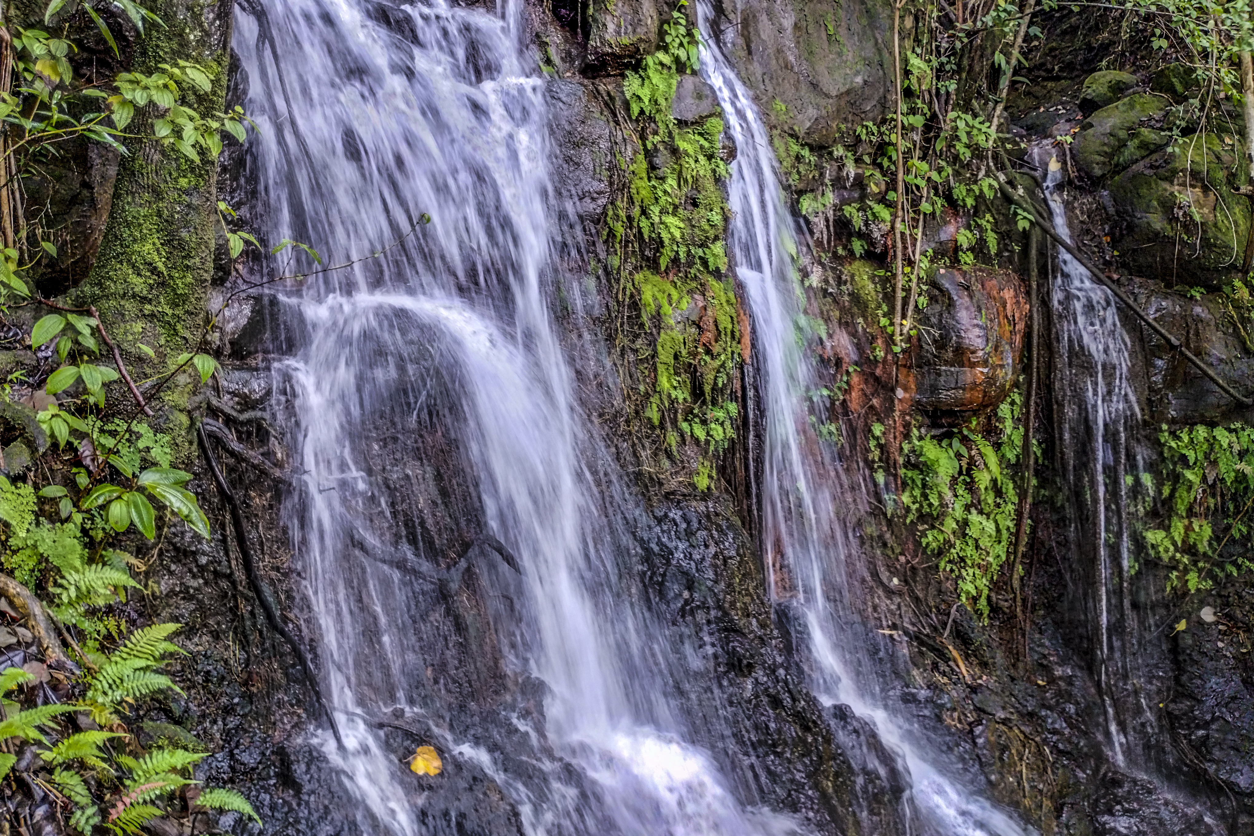  32-360 Kapena Rd, Ninole, HI, 96773 - 物件實景