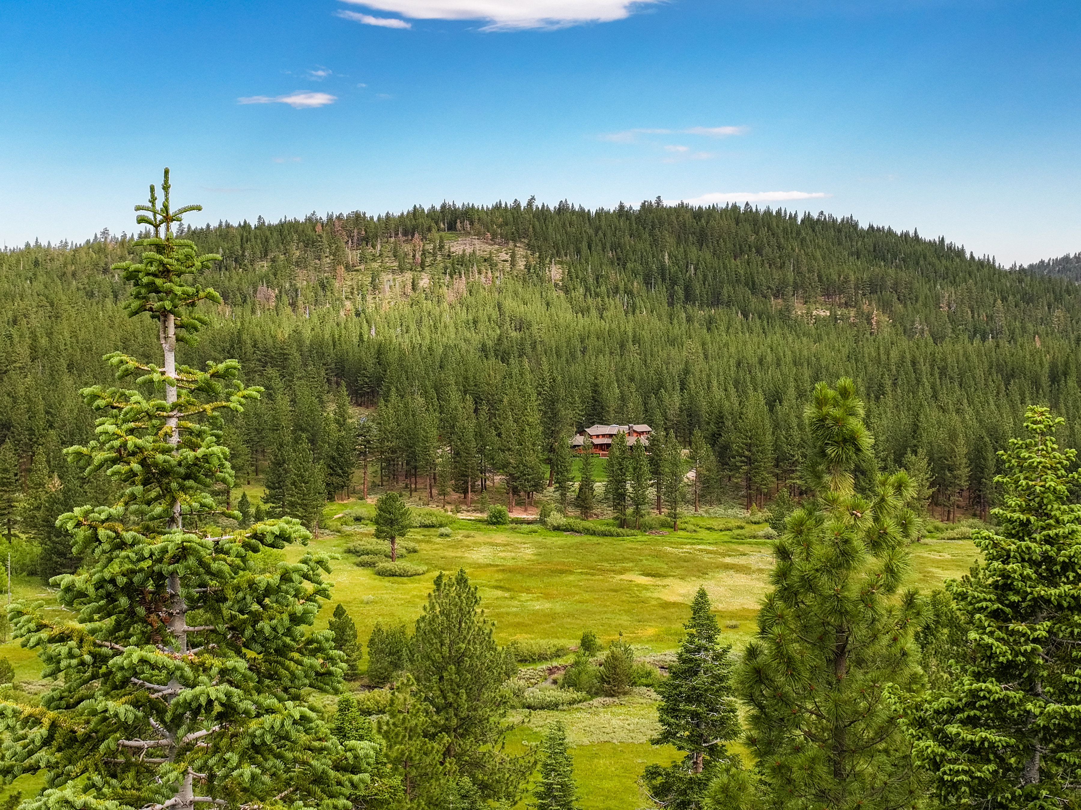  High Meadow Ranch Lodge - 物件實景
