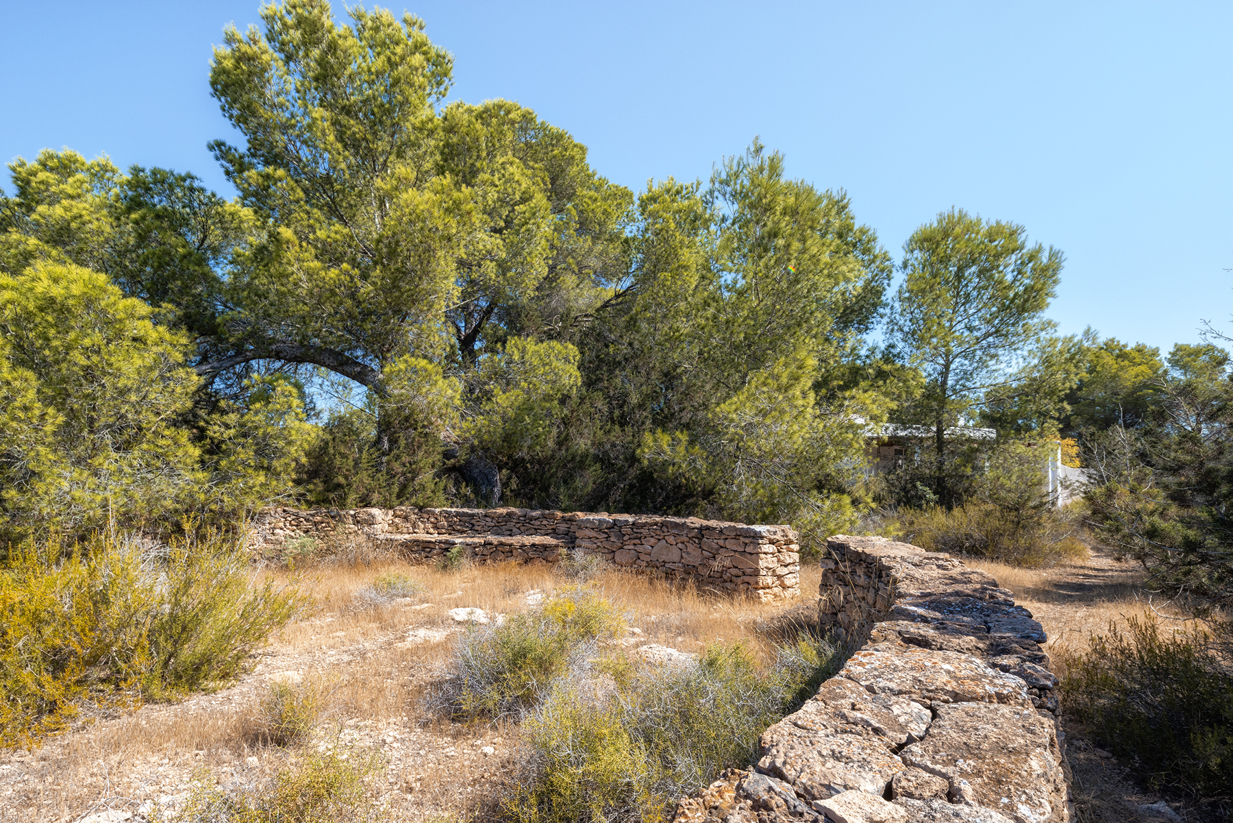  Country house to renovate in Formentera - 物件實景