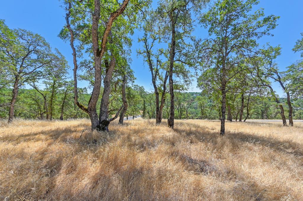 El Dorado Hills, California, 95762, United States, ,Land,For Sale,1874458