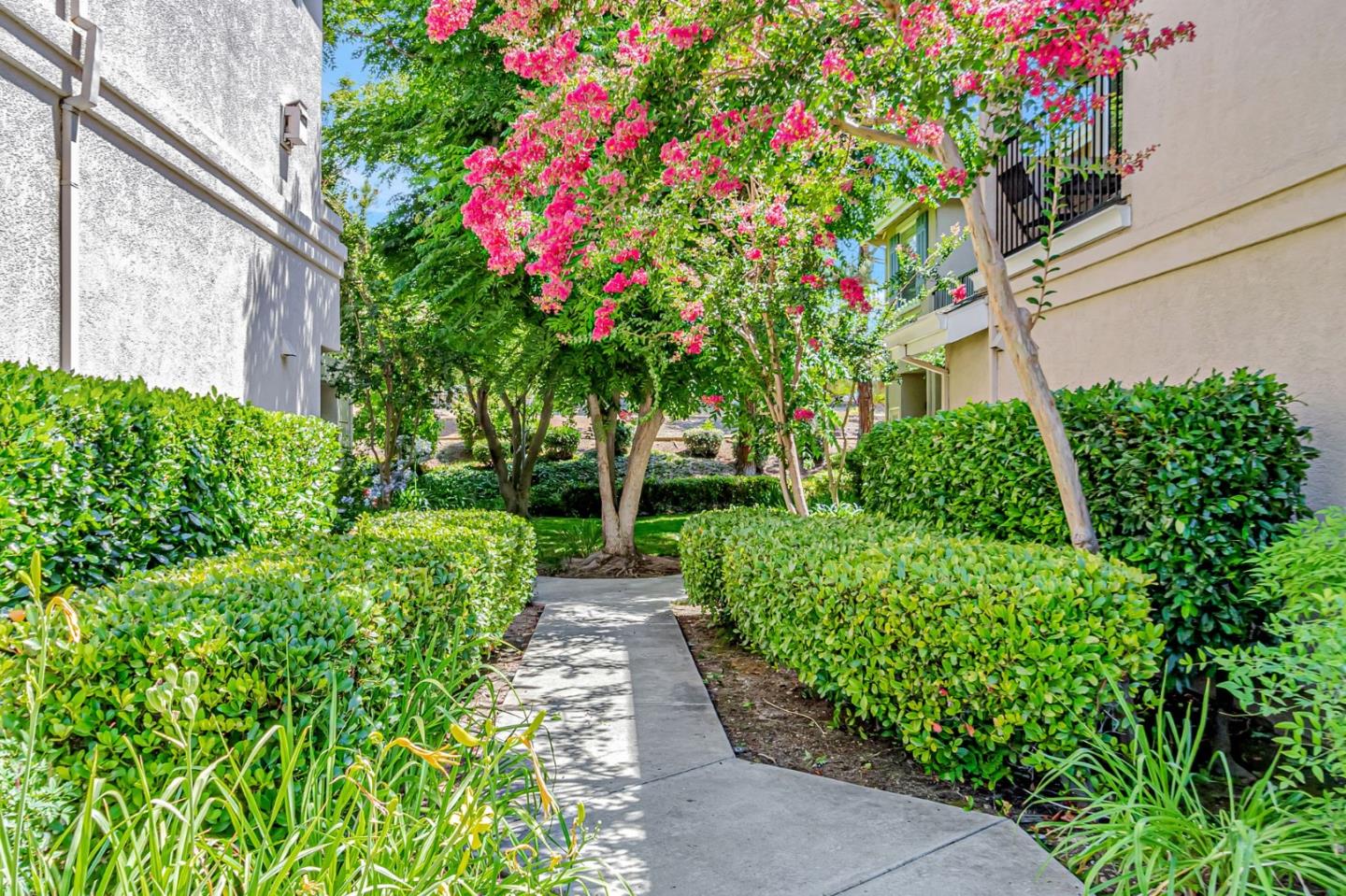 San Jose, California, 95138, United States, 3 Bedrooms Bedrooms, ,3 BathroomsBathrooms,Residential,For Sale,1902471