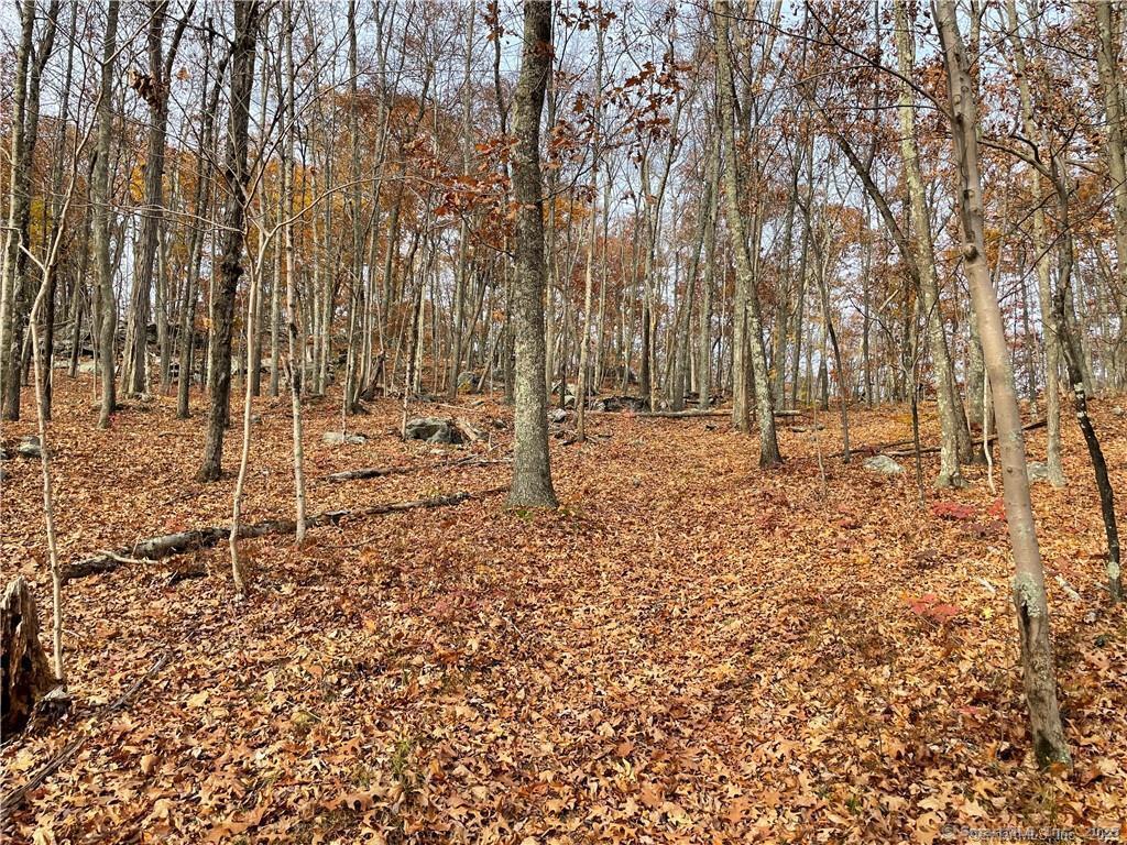 New Fairfield, Connecticut, 06812, United States, ,Residential,For Sale,1986113