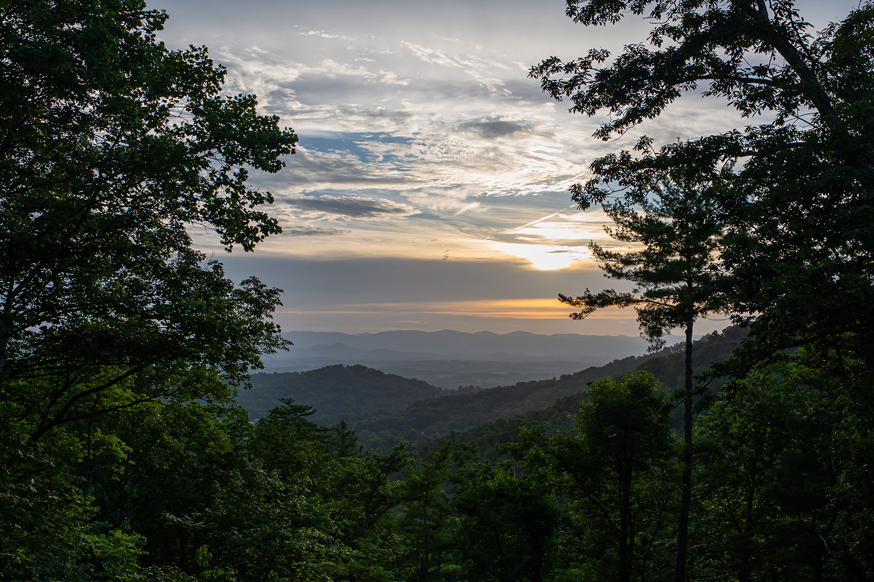  ASHEVILLE - 物件實景