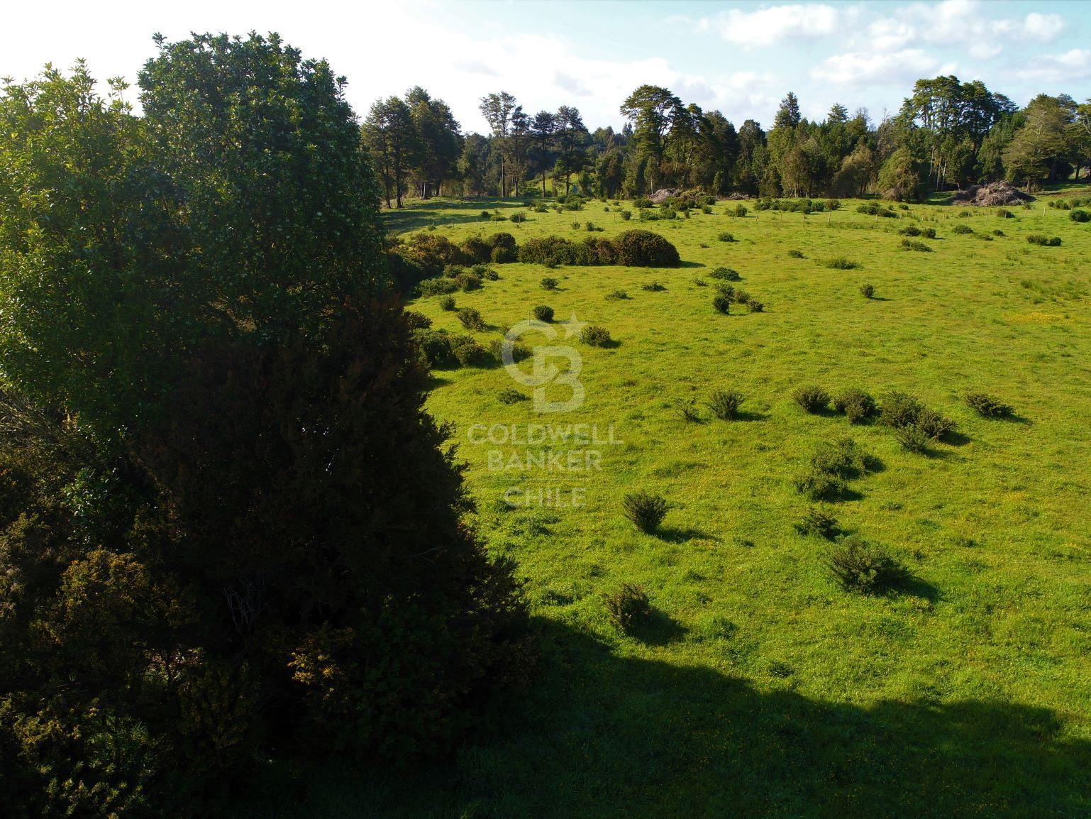 Ancud, Chile, ,Residential,For Sale,1759284