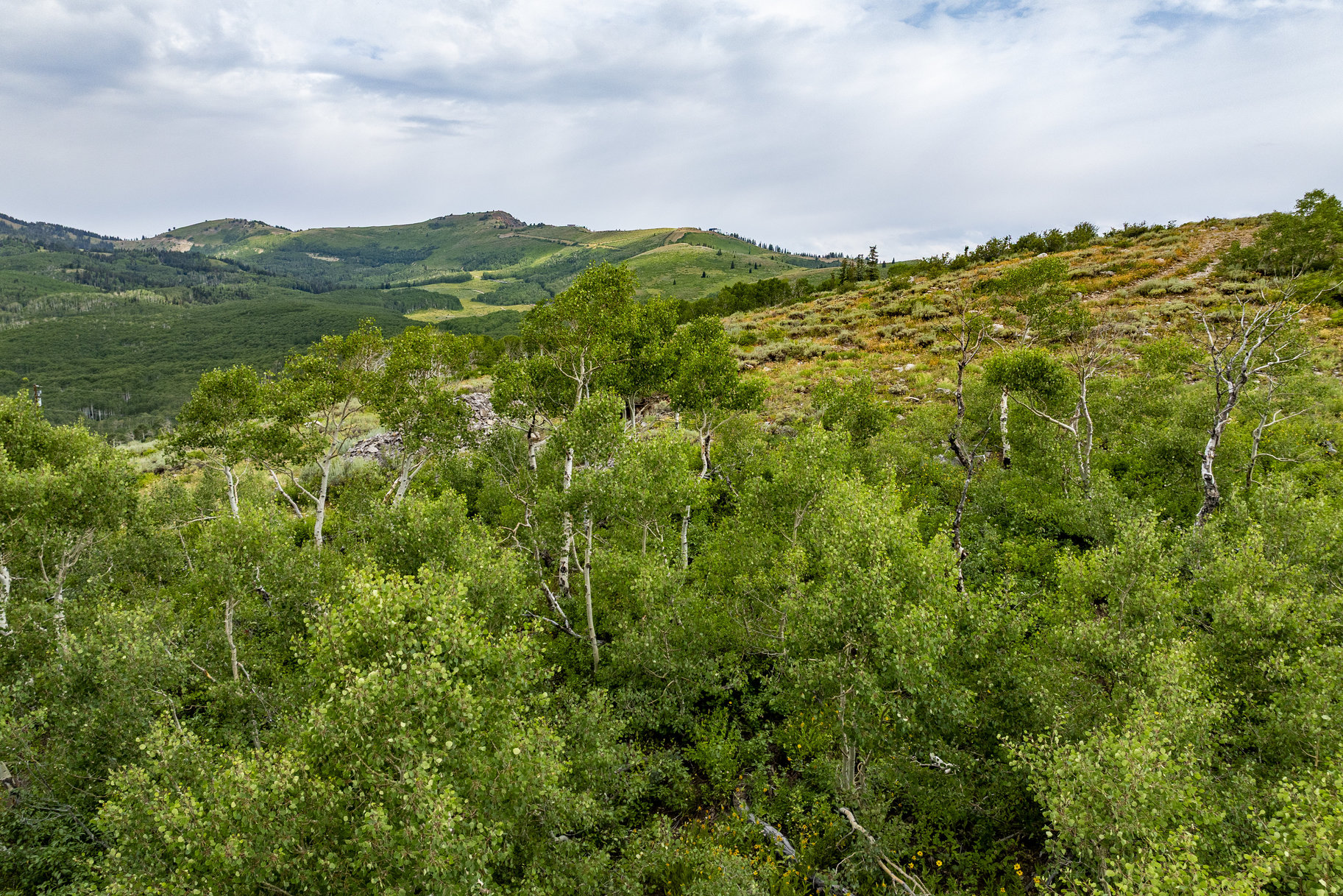  24 Acre Development Parcel in Bonanza Flats - 物件實景
