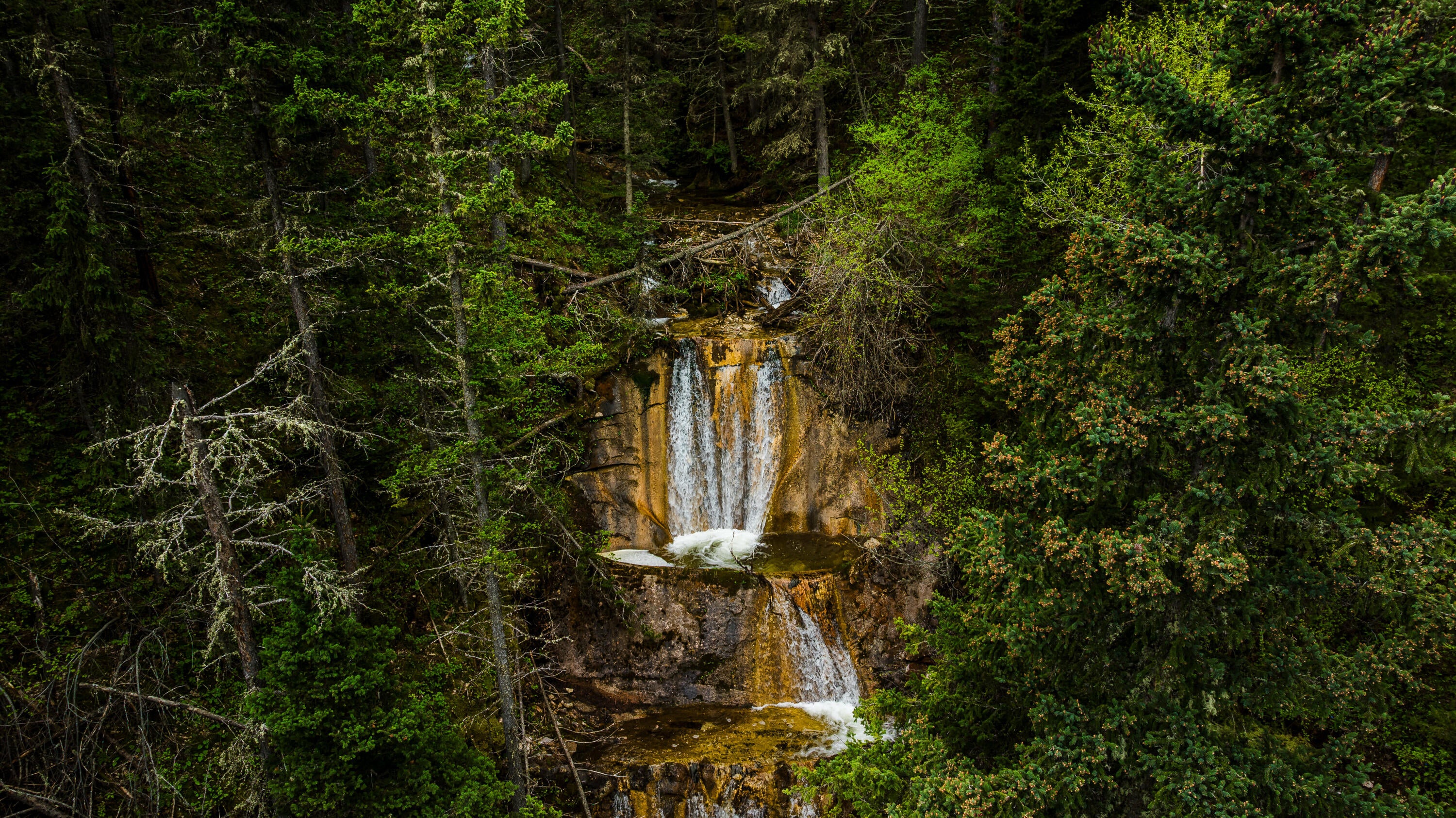 Big Horn, Wyoming, 82833, United States, ,Residential,For Sale,2011314