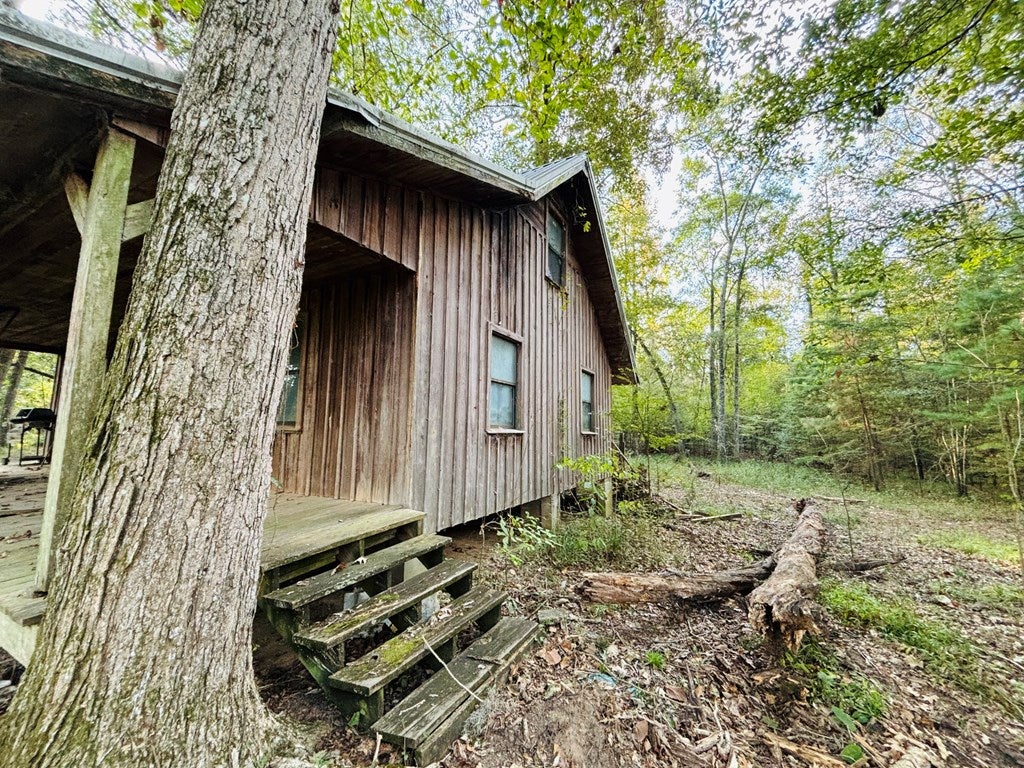 Abbeville, Georgia, 31001, United States, ,Land,For Sale,1975130