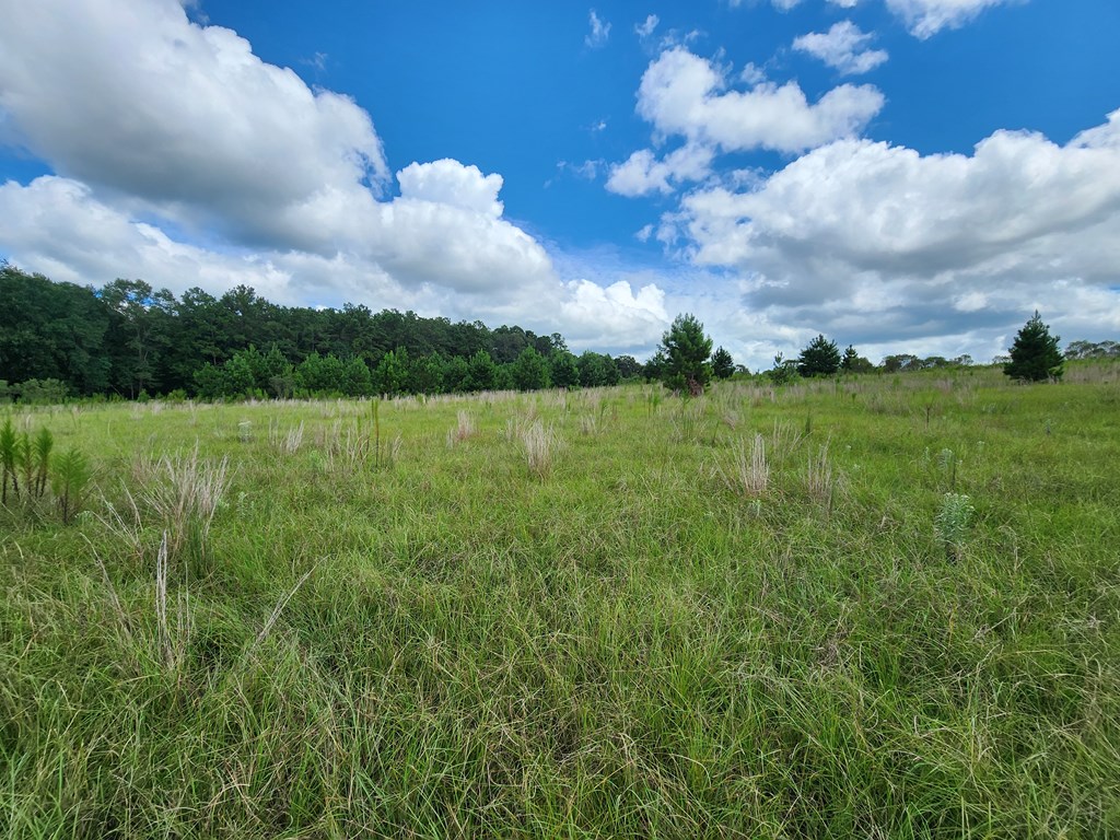 Pansey, Alabama, 36370, United States, 3 Bedrooms Bedrooms, ,3 BathroomsBathrooms,Residential,For Sale,1943922