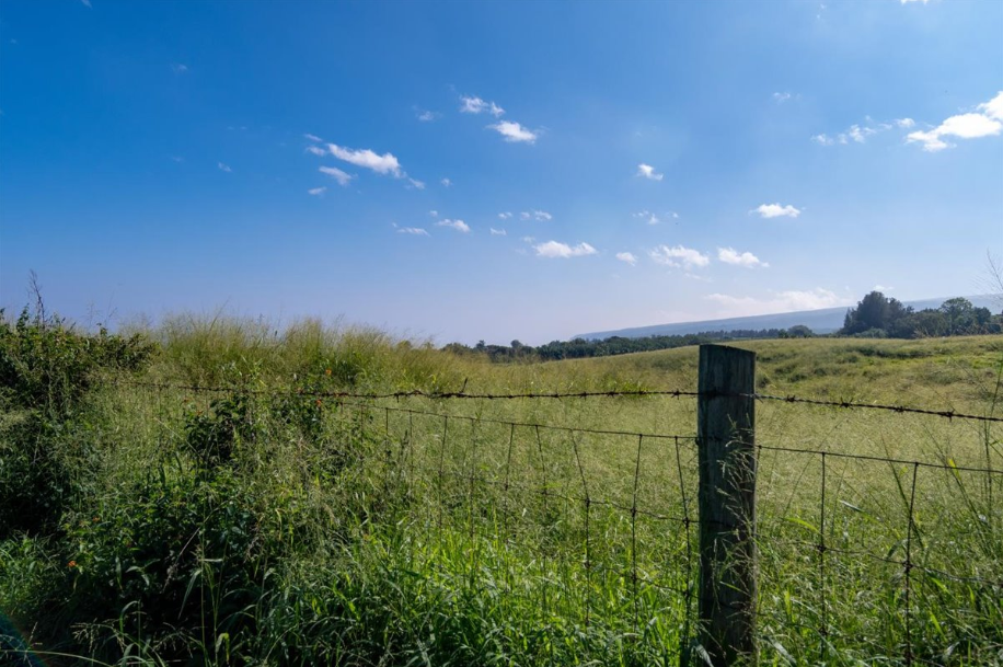 Kapaau, Hawaii, 96755, United States, ,Land,For Sale,2005975