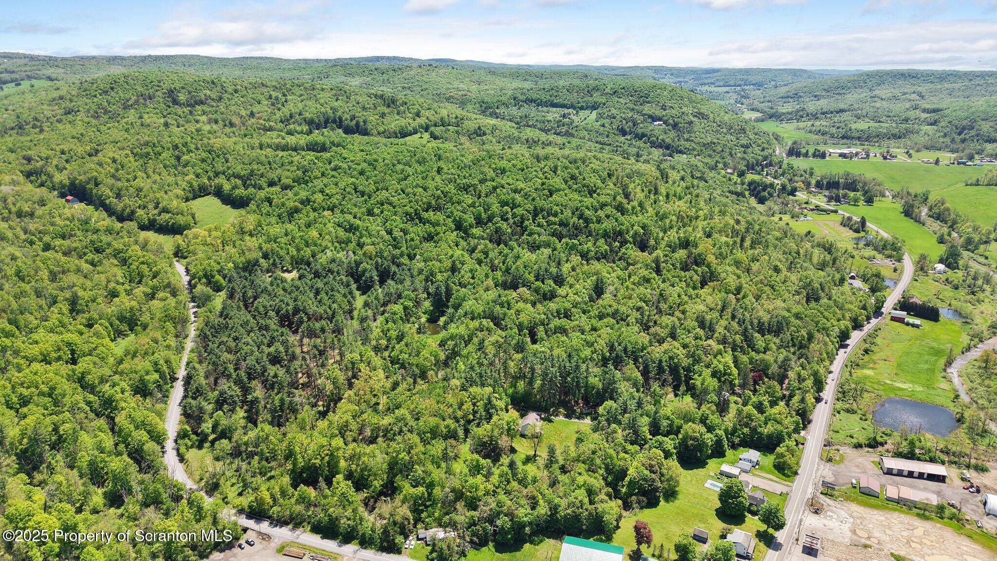 Friendsville, Pennsylvania, 18818, United States, ,Land,For Sale,1821142