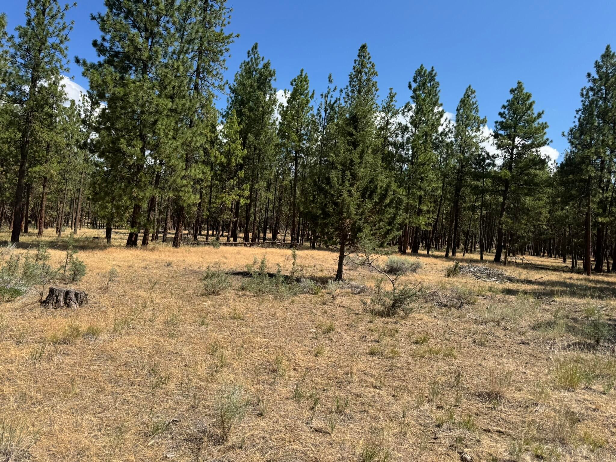 Bonanza, Oregon, 97623, United States, 3 Bedrooms Bedrooms, ,2 BathroomsBathrooms,Residential,For Sale,1903275