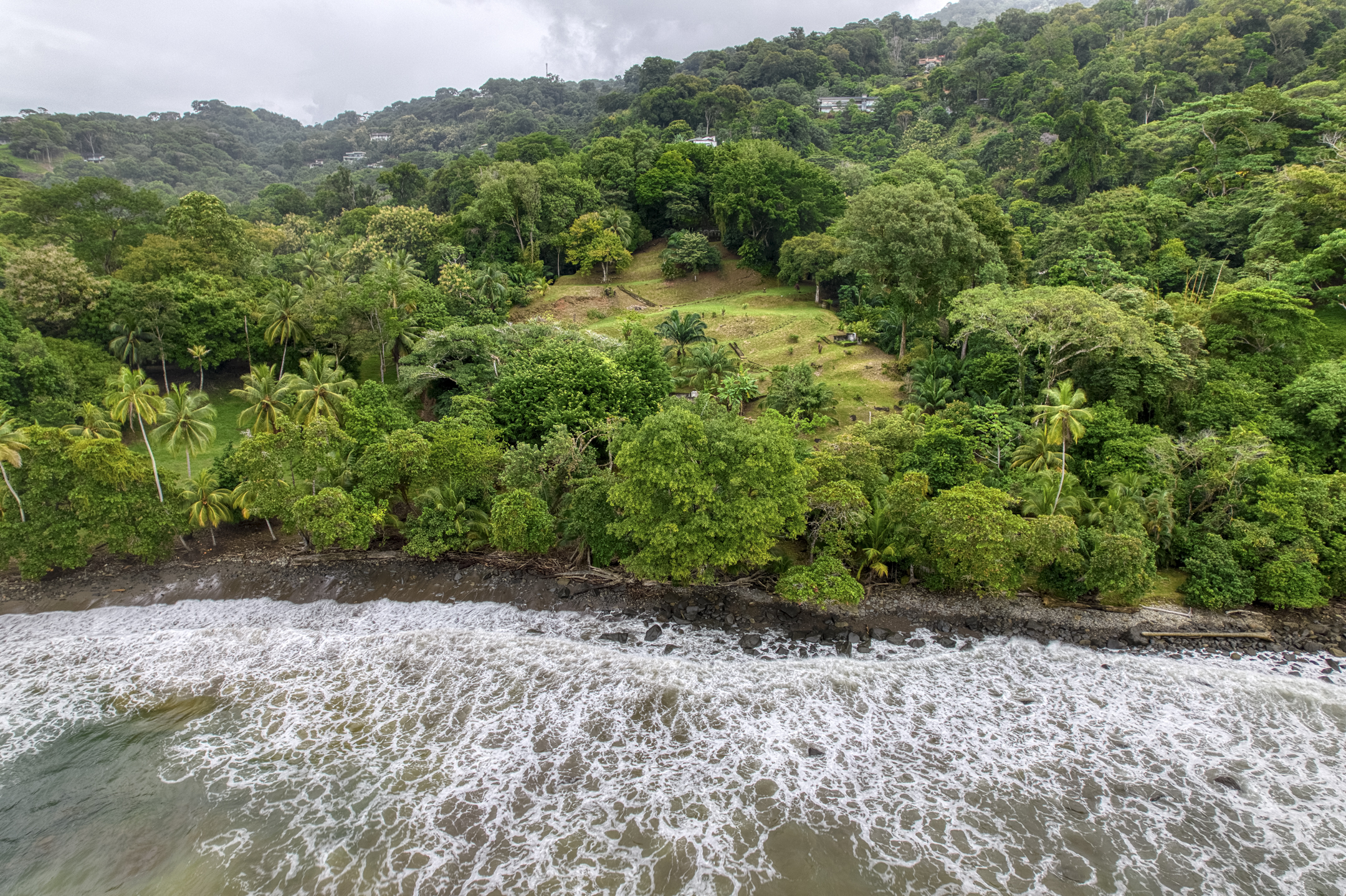 Dominical, Puntarenas, CR, ,Land,For Sale,1839872