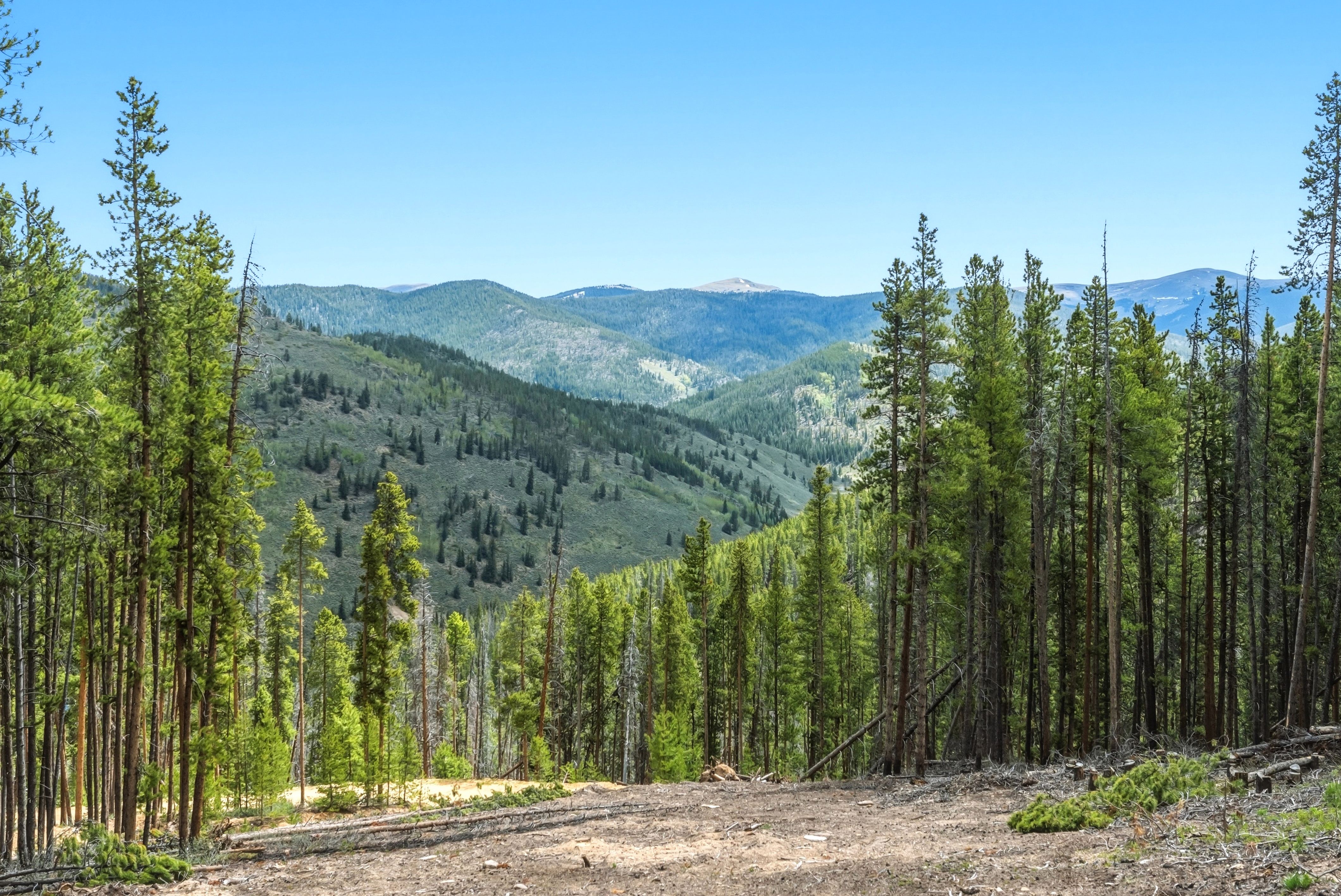  653 Summit Gulch Road, Breckenridge, CO, 80424 - 物件實景