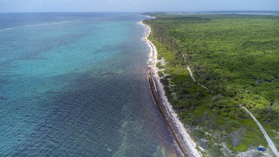 Malecon, Othón P. Blanco, Quintana Roo, 77976, Mexico, 1 Bedroom Bedrooms, ,Residential,For Sale,Malecon,1620113