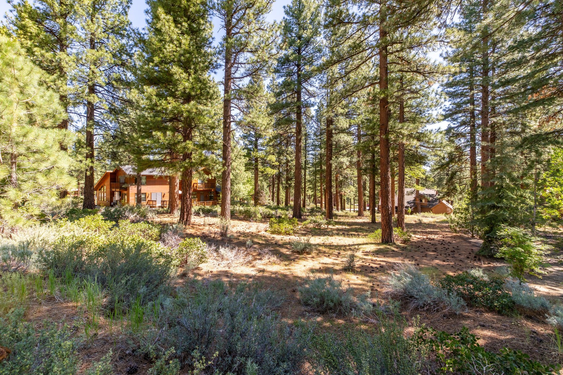  Private Galena Forest Parcel Near Mt. Rose with Pines & Tahoe Access - 物件實景