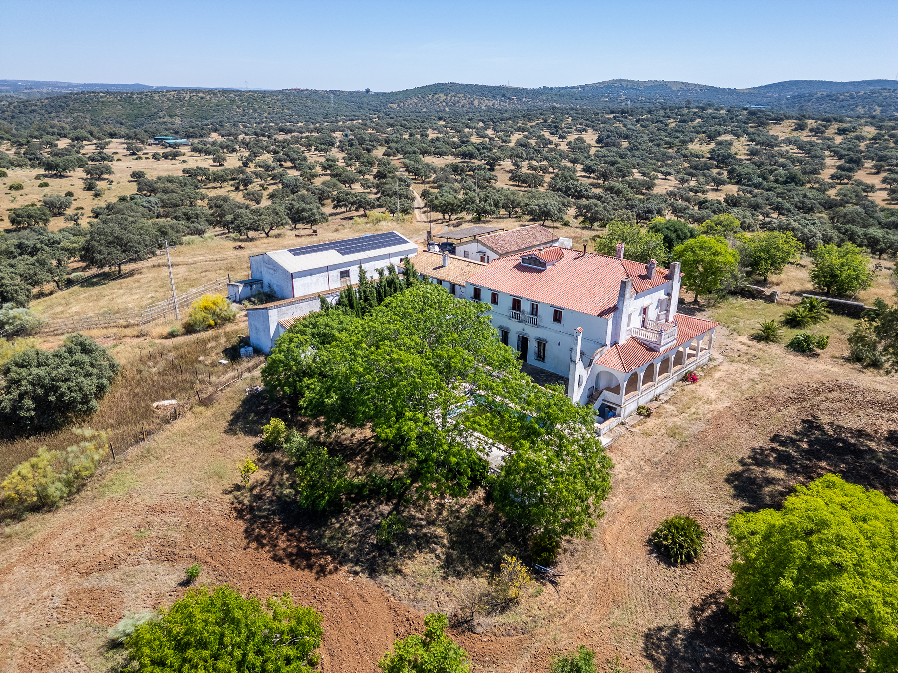  Livestock, hunting, and recreational estate in Castiblanco de los Arroyos - 物件實景