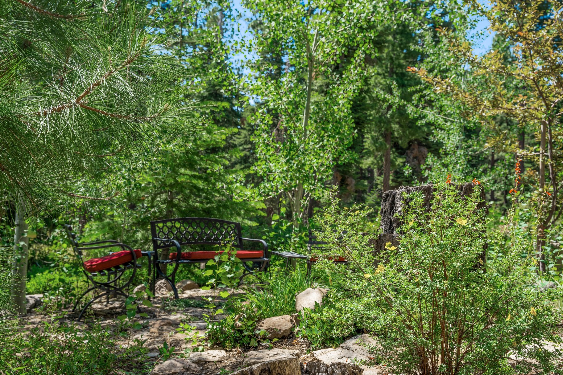  Rare, 10-acre parcel with house minutes from Tahoe City - 物件實景