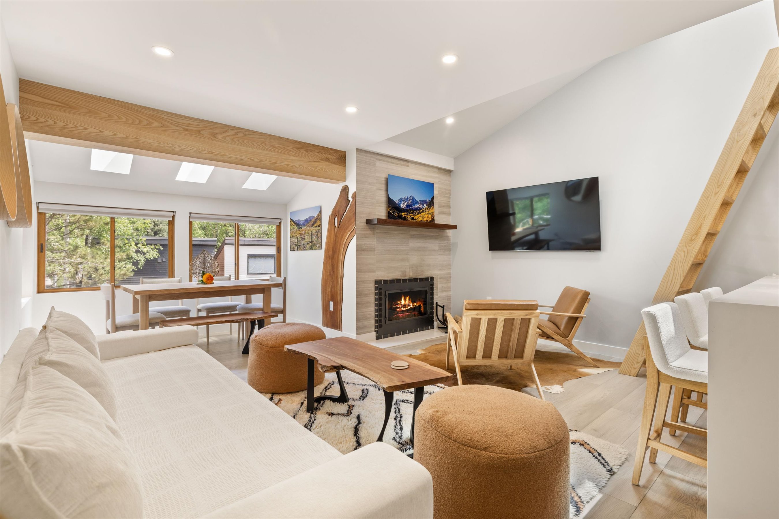  910 W Hallam Street, Aspen, CO, 81611 - 物件實景