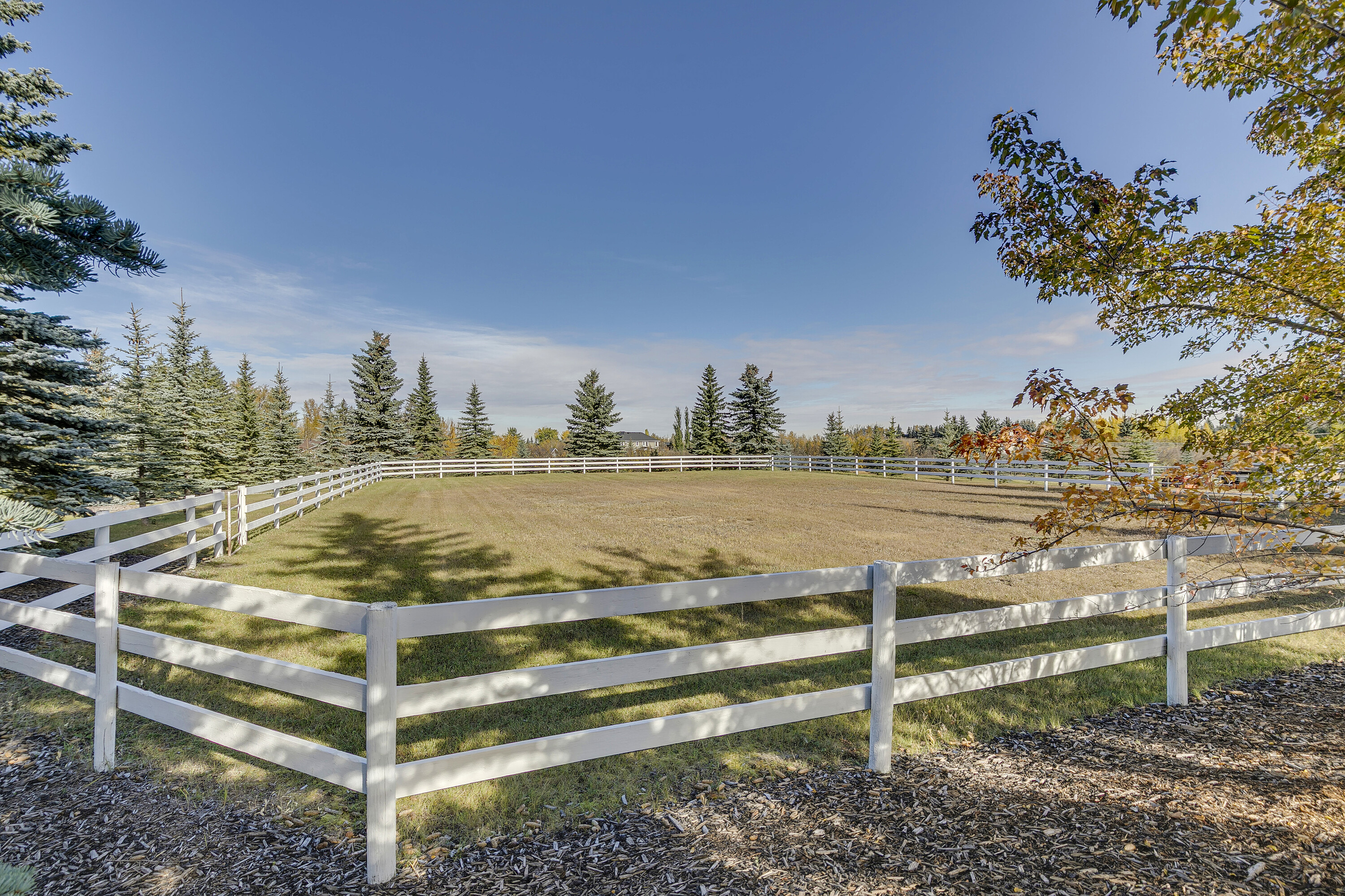  20 Acre Storybook Property - 物件實景