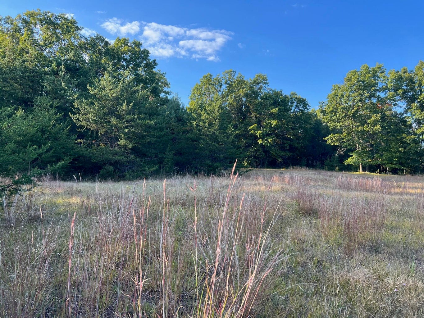 Baldwin, Michigan, 49304, United States, 3 Bedrooms Bedrooms, ,2 BathroomsBathrooms,Residential,For Sale,1990507