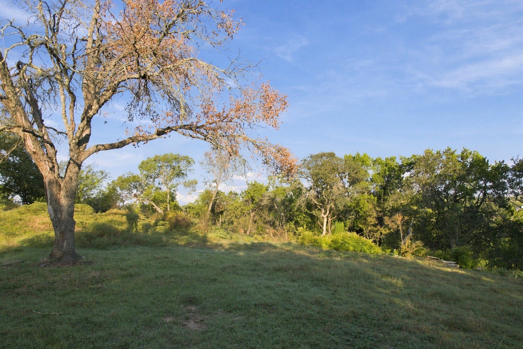  Private acreage in The Estates of Barton Creek - 物件實景