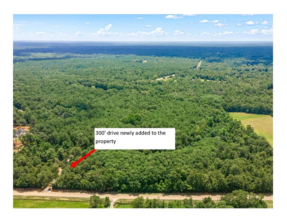 Bush, Louisiana, 70431, United States, ,Land,For Sale,1987560