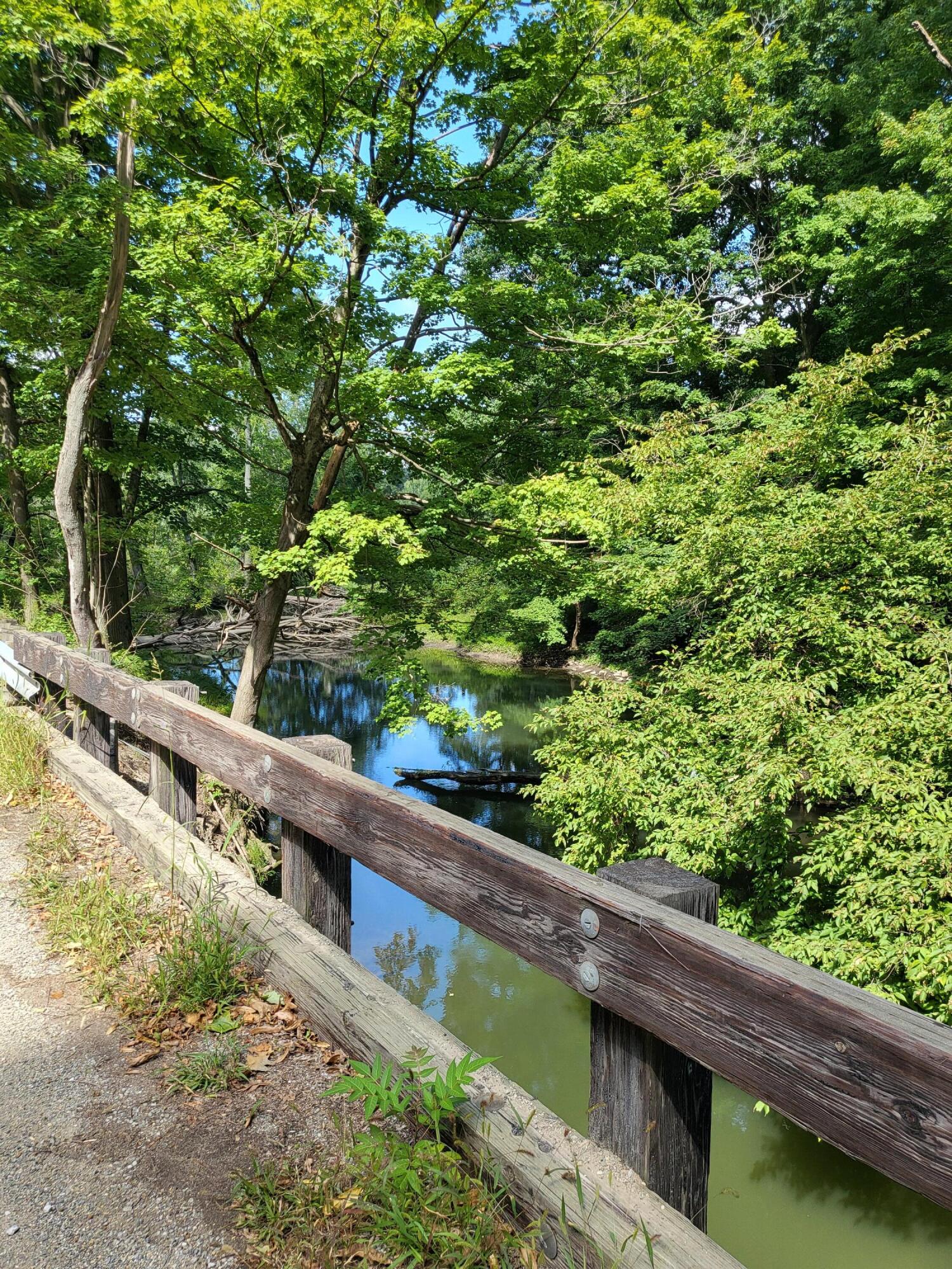 Union Pier, Michigan, 49129, United States, ,Land,For Sale,1988293
