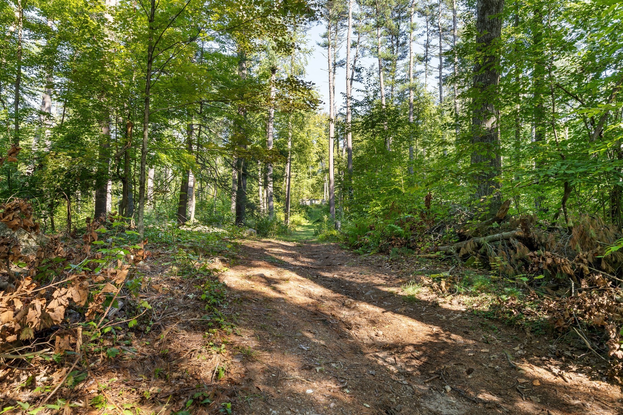Porter St, Granby, MA 01033 #1