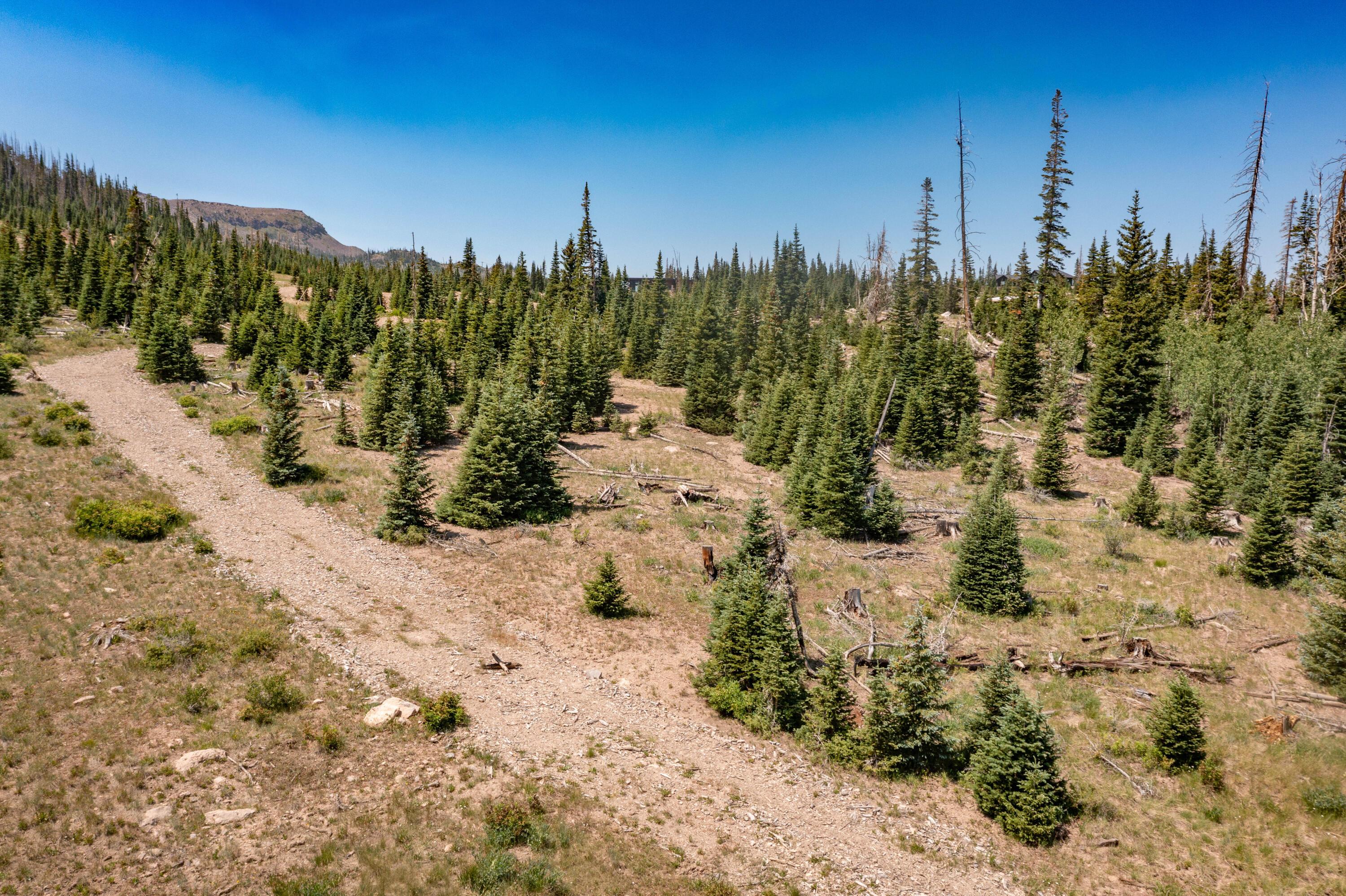 Brian Head, Utah, 84719, United States, ,Residential,For Sale,1983470