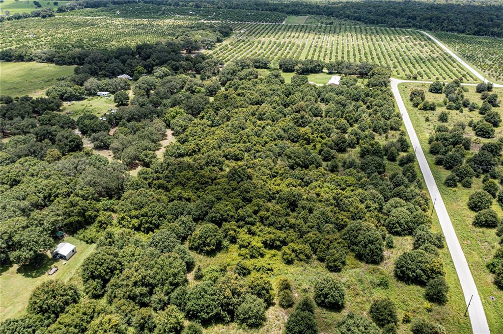 Arcadia, Florida, 34269, United States, ,Land,For Sale,1997252