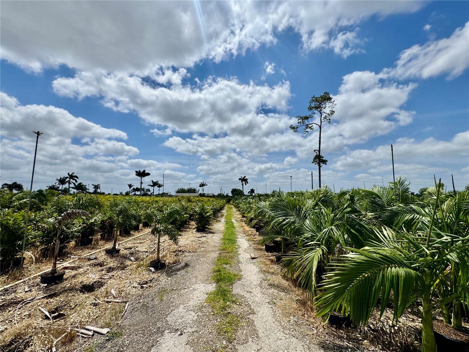 Homestead, Florida, 33034, United States, ,Land,For Sale,1985772