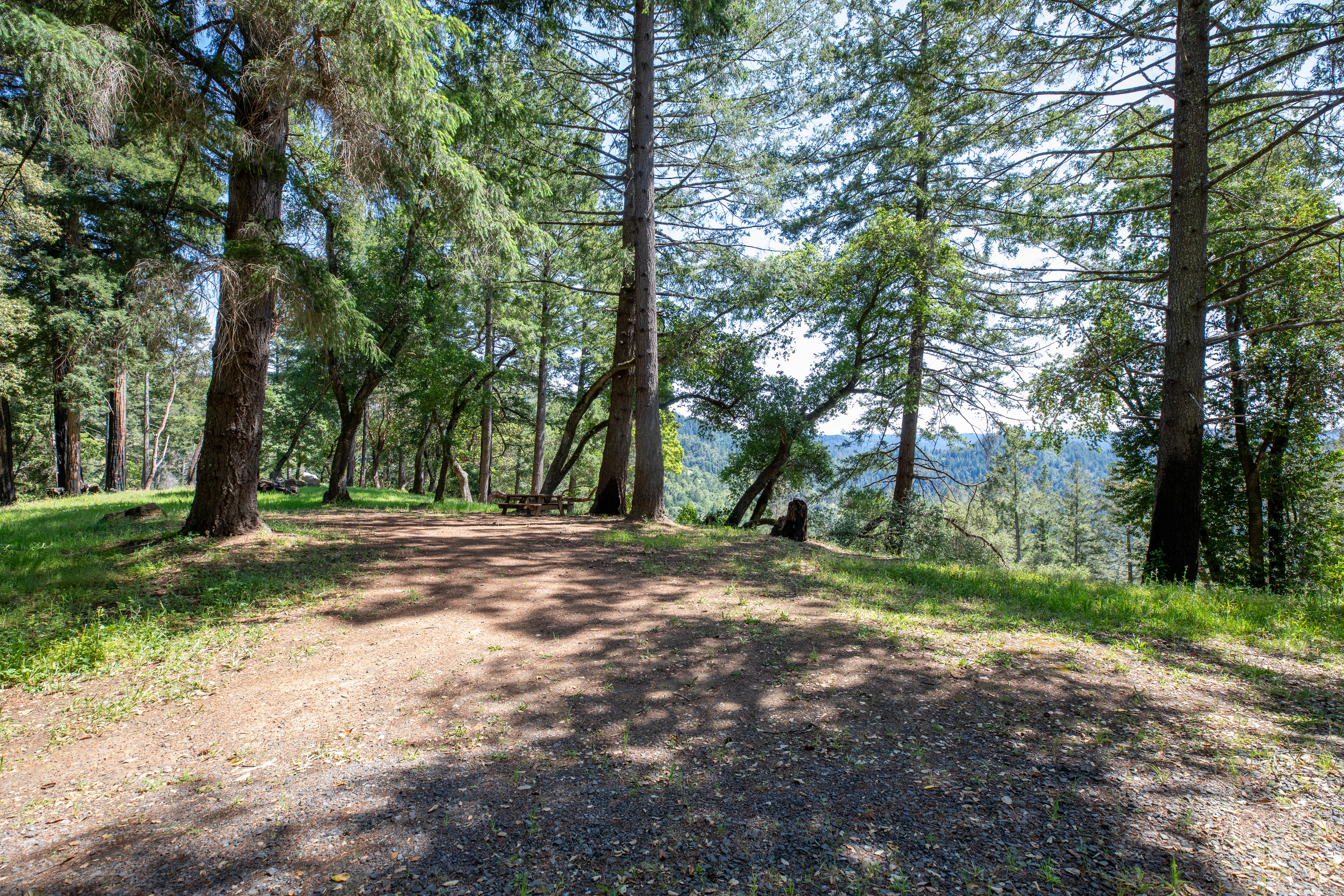  18900 Armstrong Woods Road, Guerneville, CA 95446 - 物件實景