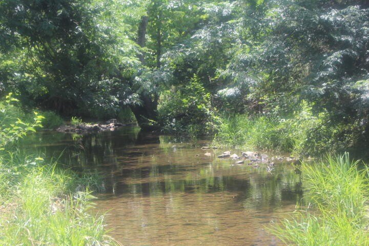 Polk, Missouri, 65727, United States, ,Land,For Sale,1980569
