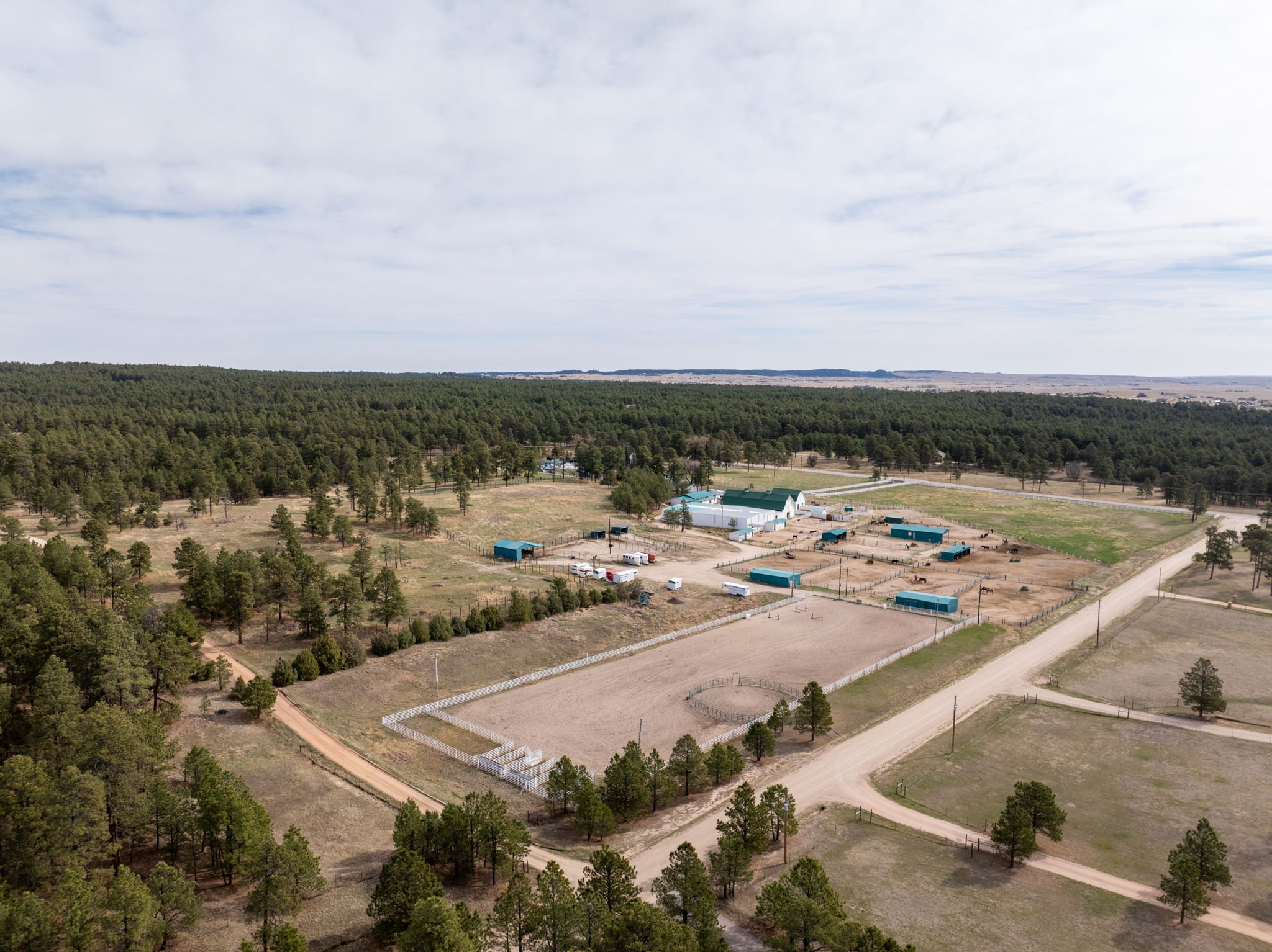  Historic Pine Run Ranch in Black Forest on rare 60 acres - 物件實景