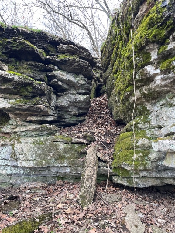 Berryville, Arkansas, 72616, United States, 6 Bedrooms Bedrooms, ,4 BathroomsBathrooms,Residential,For Sale,1988341