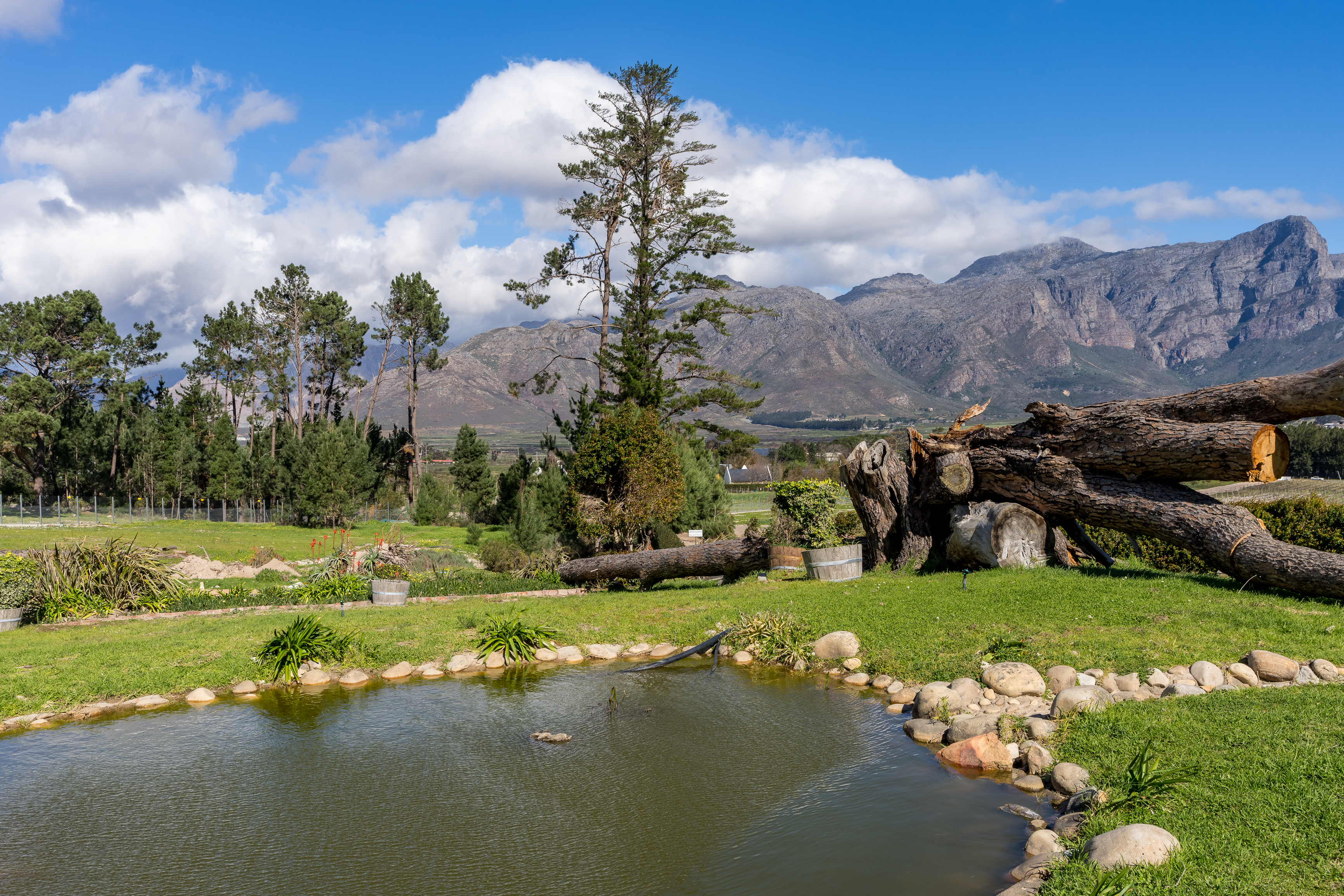  An Exceptional Boutique Wine Estate in the Heart of the Cape Winelands - 物件實景