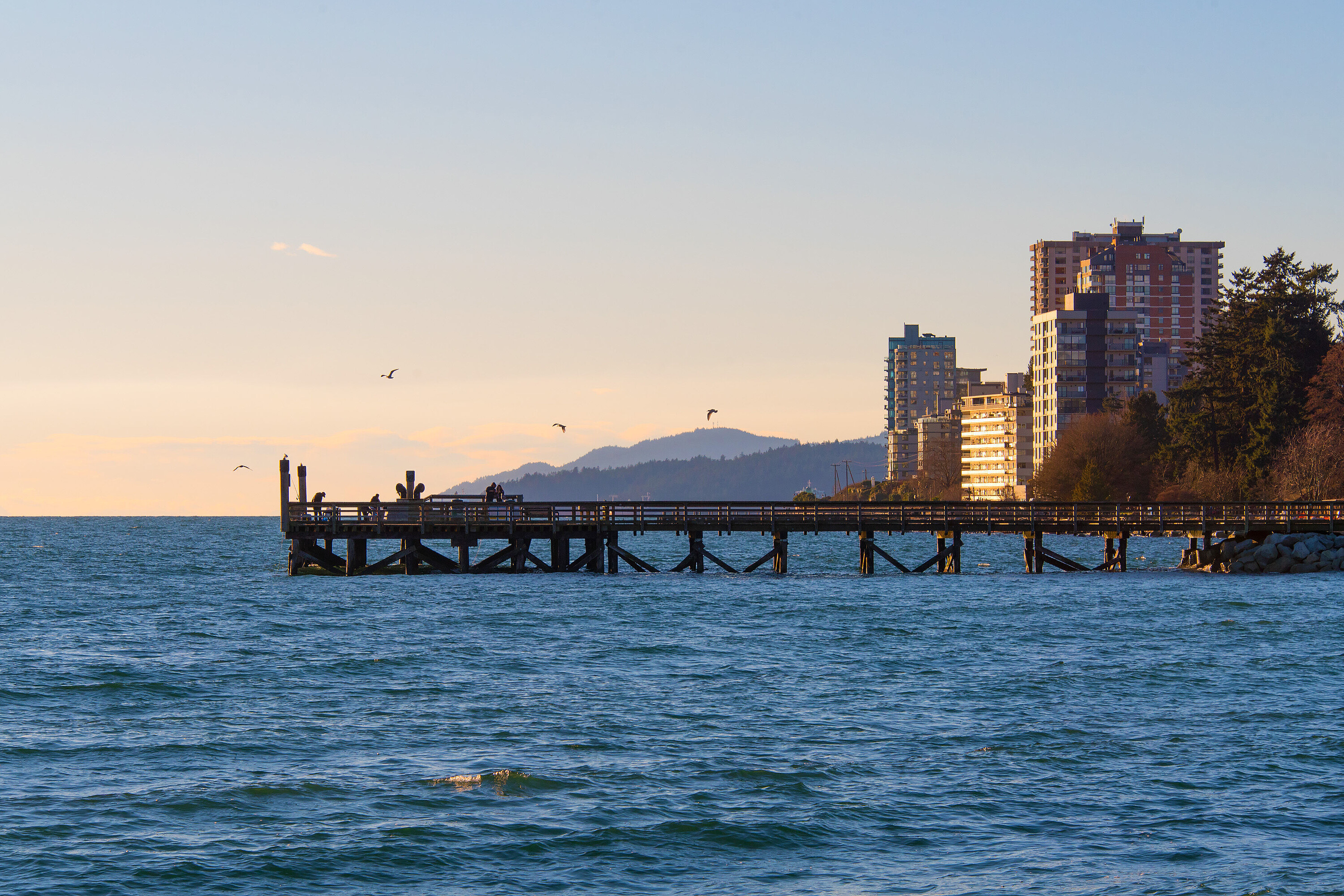  West Vancouver, Greater Vancouver - 物件實景