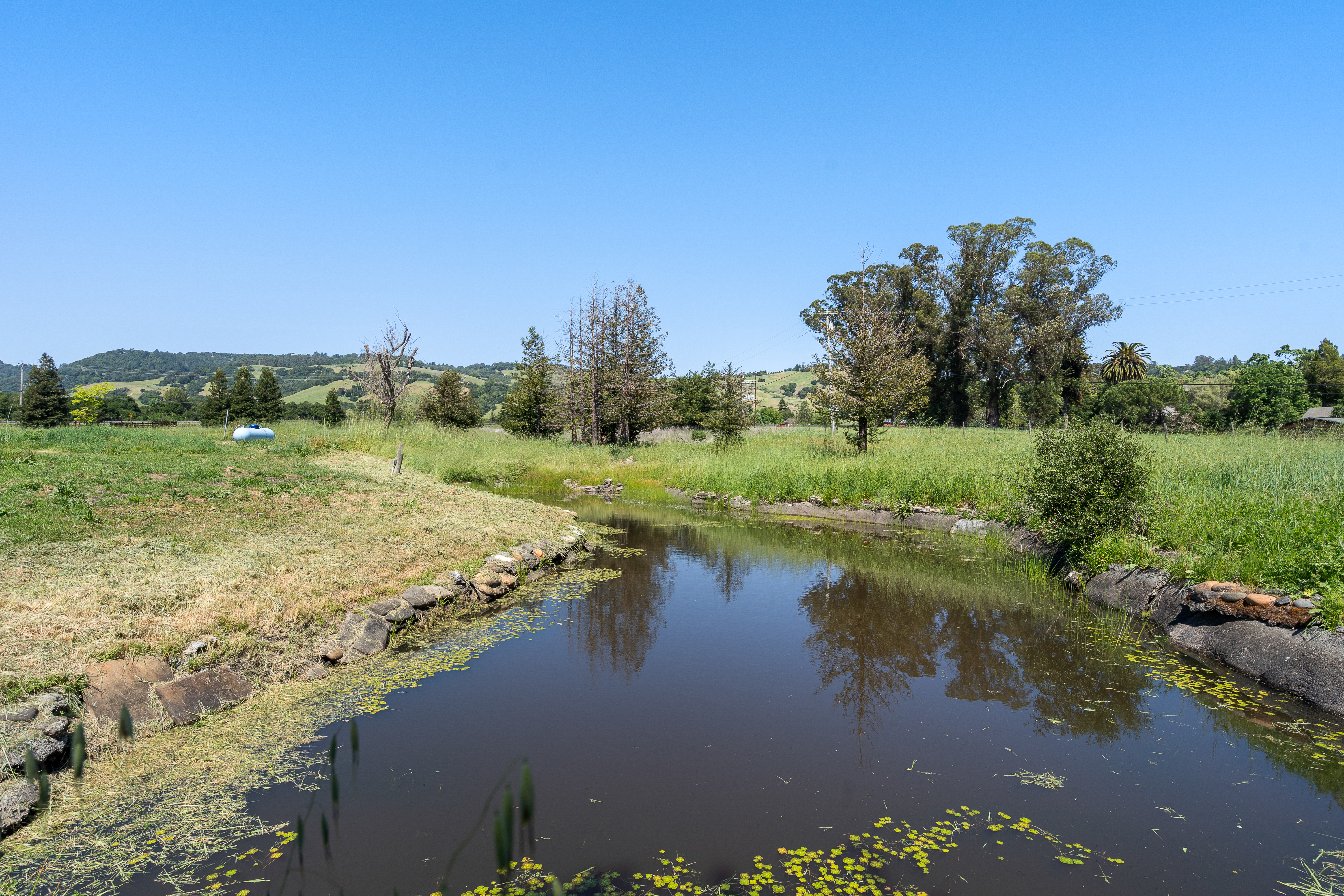  1450 Crane Canyon Road, Santa Rosa, CA 95404 - 物件實景