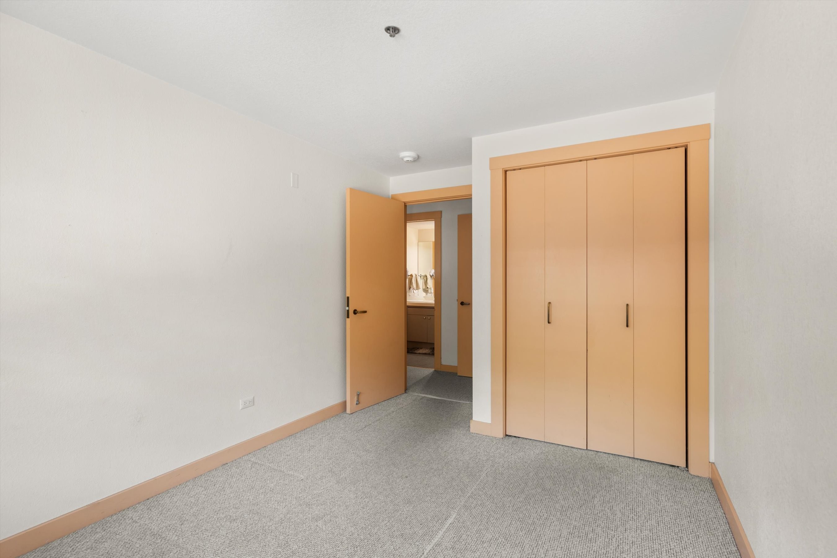  115 Boomerang Road, Aspen, CO, 81611 - 物件實景