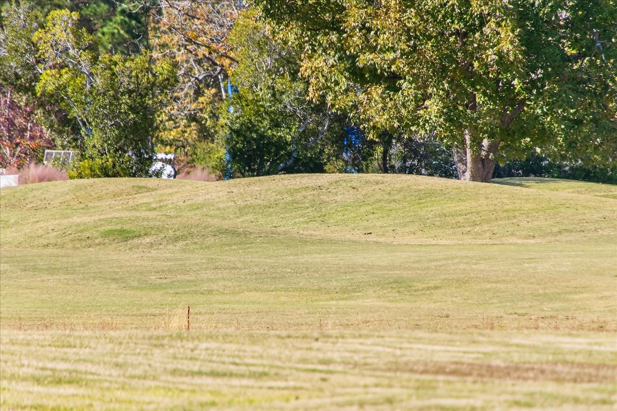 Ocean Isle Beach, North Carolina, 28469, United States, 3 Bedrooms Bedrooms, ,2 BathroomsBathrooms,Residential,For Sale,1992118