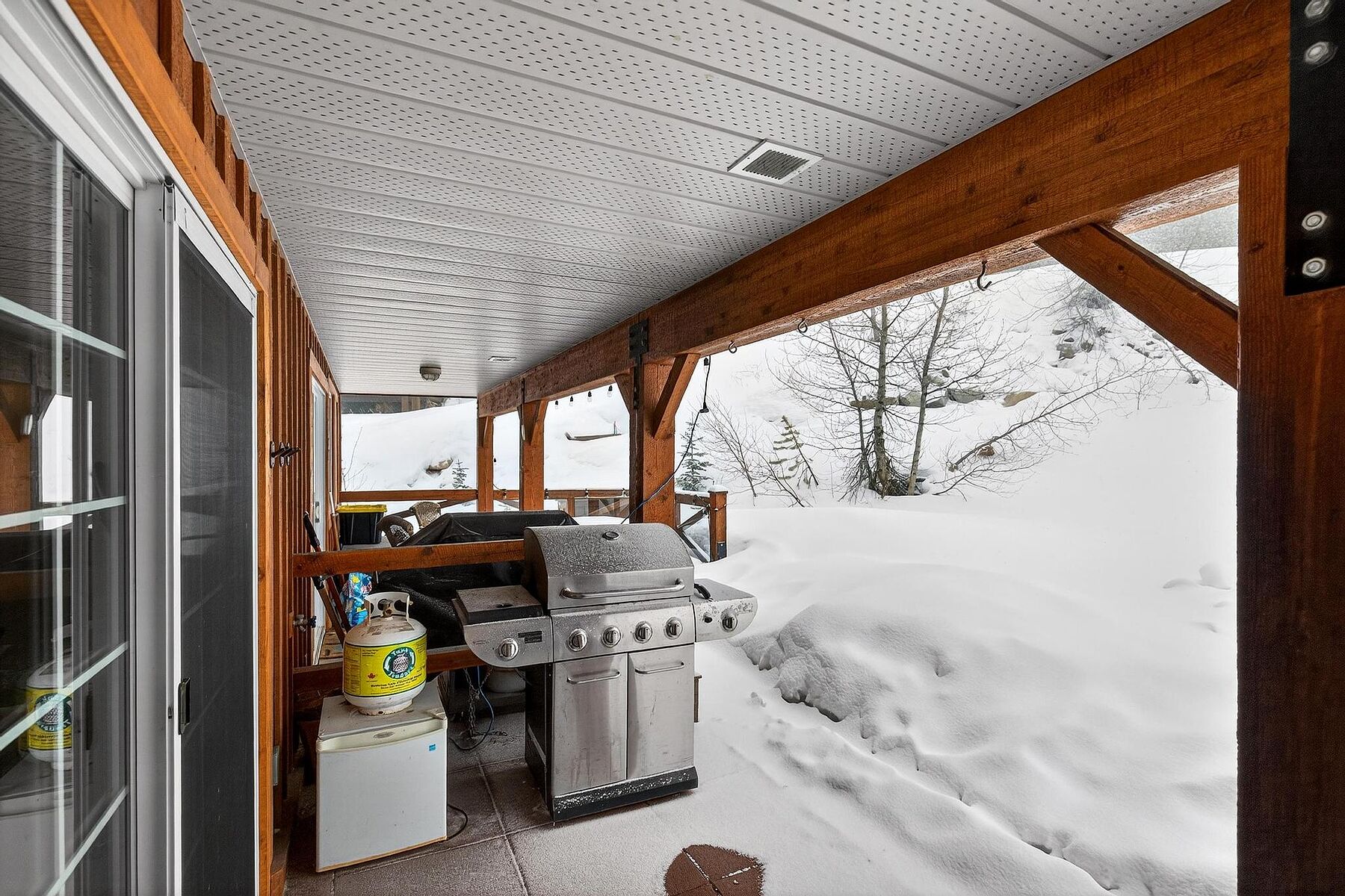  Big White, Thompson & Okanagan - 物件實景