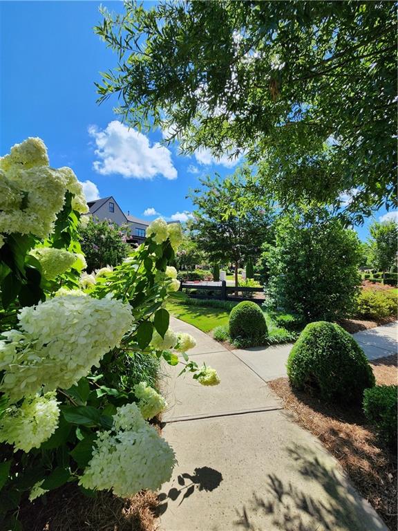 Alpharetta, Georgia, 30005, United States, 3 Bedrooms Bedrooms, ,3 BathroomsBathrooms,Residential,For Sale,1907831