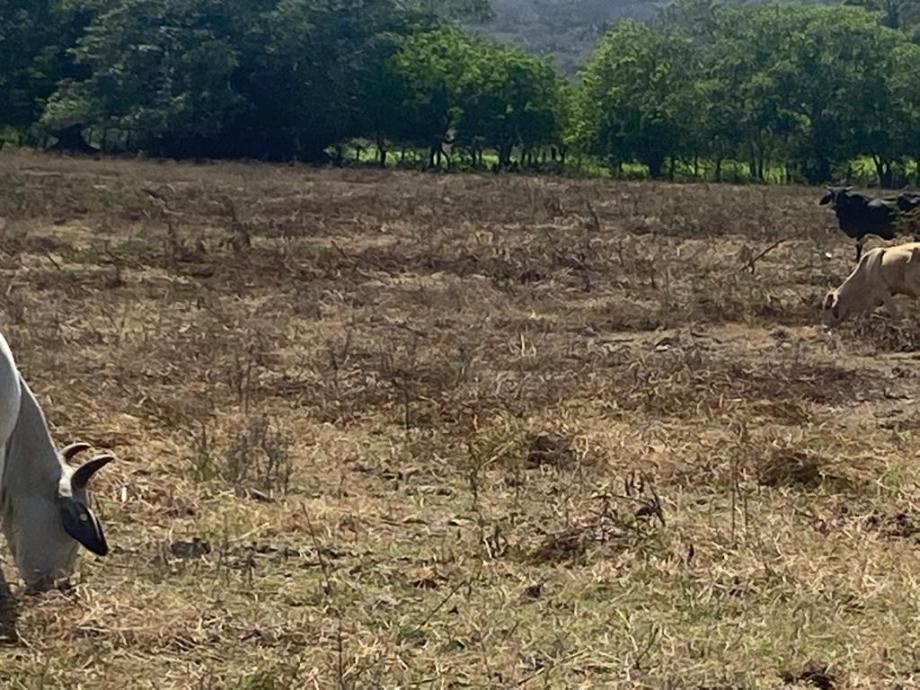 Fraccion I Parcela 1166, Compostela, Nayarit, 63724, Mexico, 1 Bedroom Bedrooms, ,Residential,For Sale, Fraccion I Parcela 1166,1672156