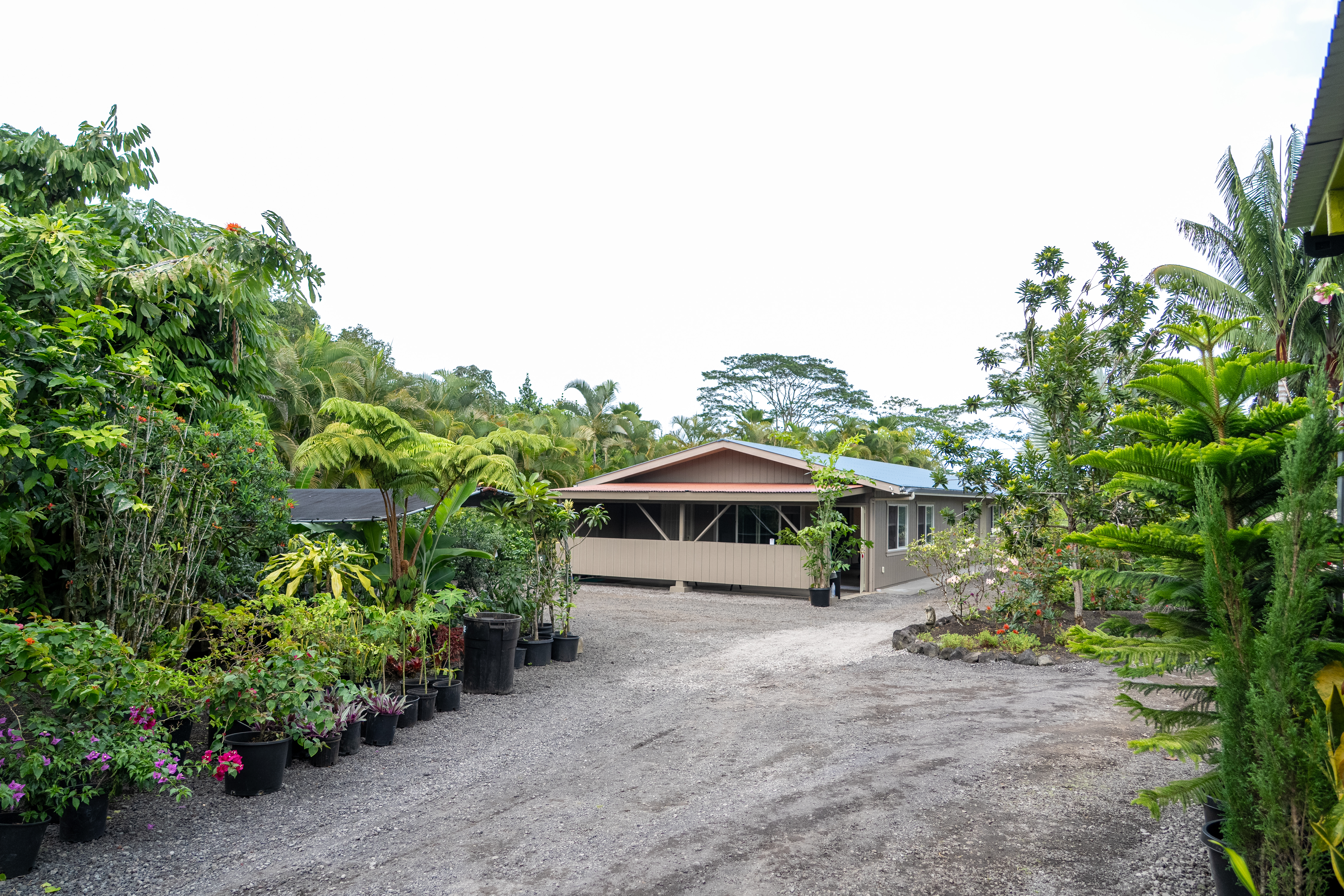 Kurtistown, Hawaii, 96760, United States, 2 Bedrooms Bedrooms, ,2 BathroomsBathrooms,Residential,For Sale,1991865