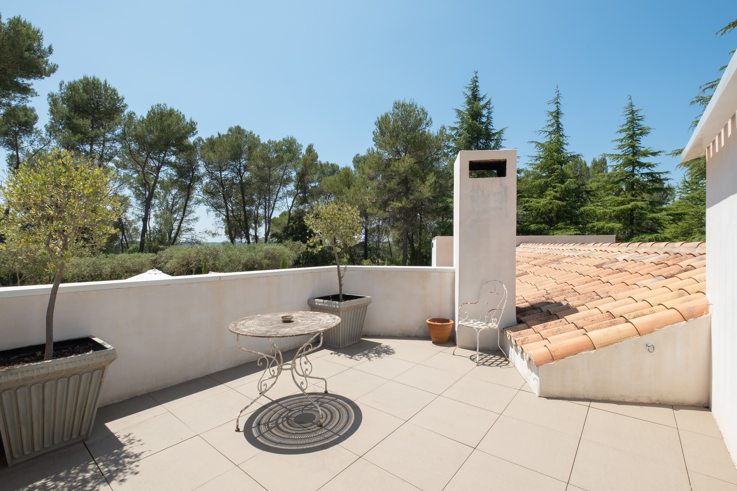  Exceptional property with designer villa, 13,000 m² grounds and rare features - 物件實景