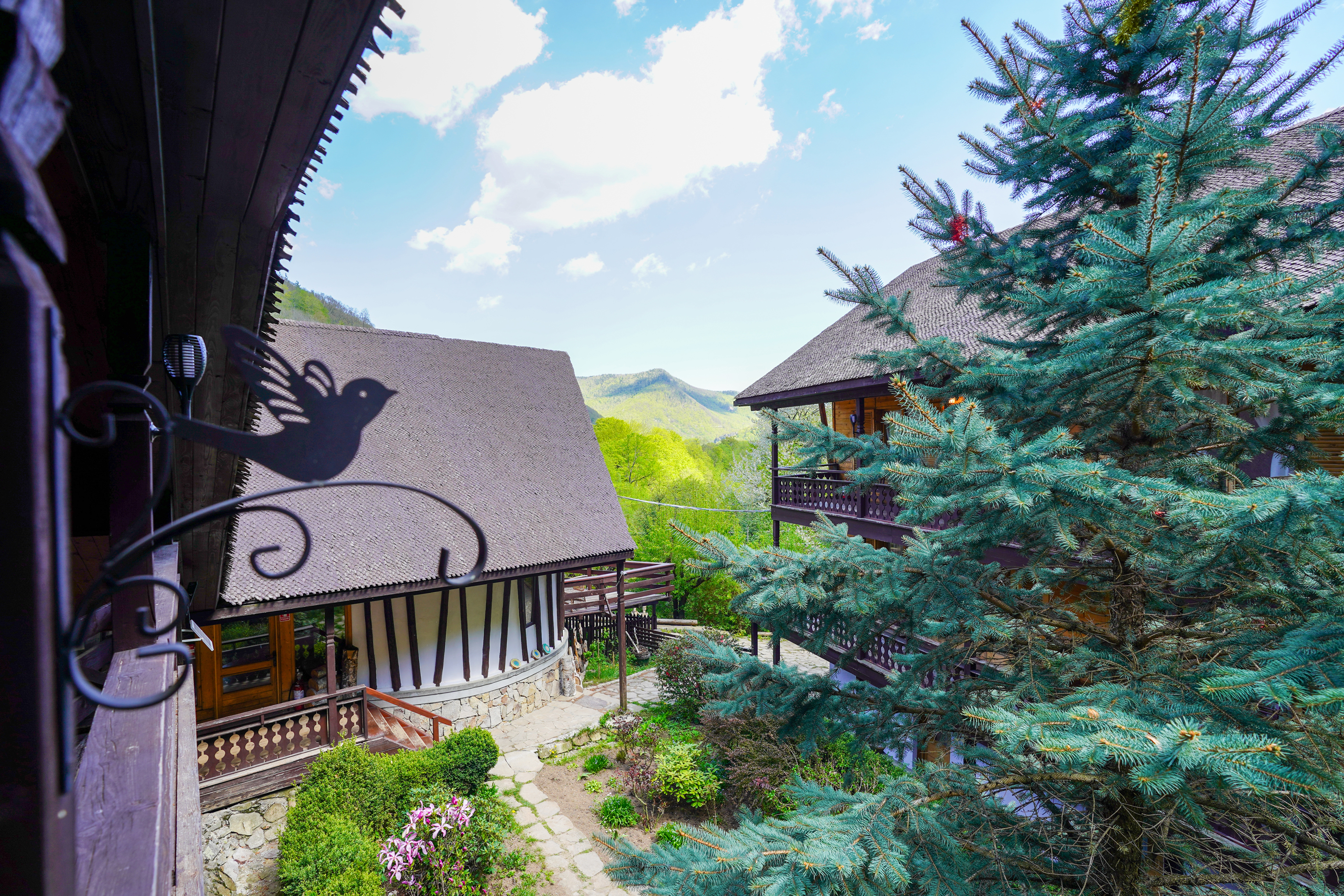  ?Casa Tisaru? - A Versatile Retreat in the Heart of Nature - 物件實景